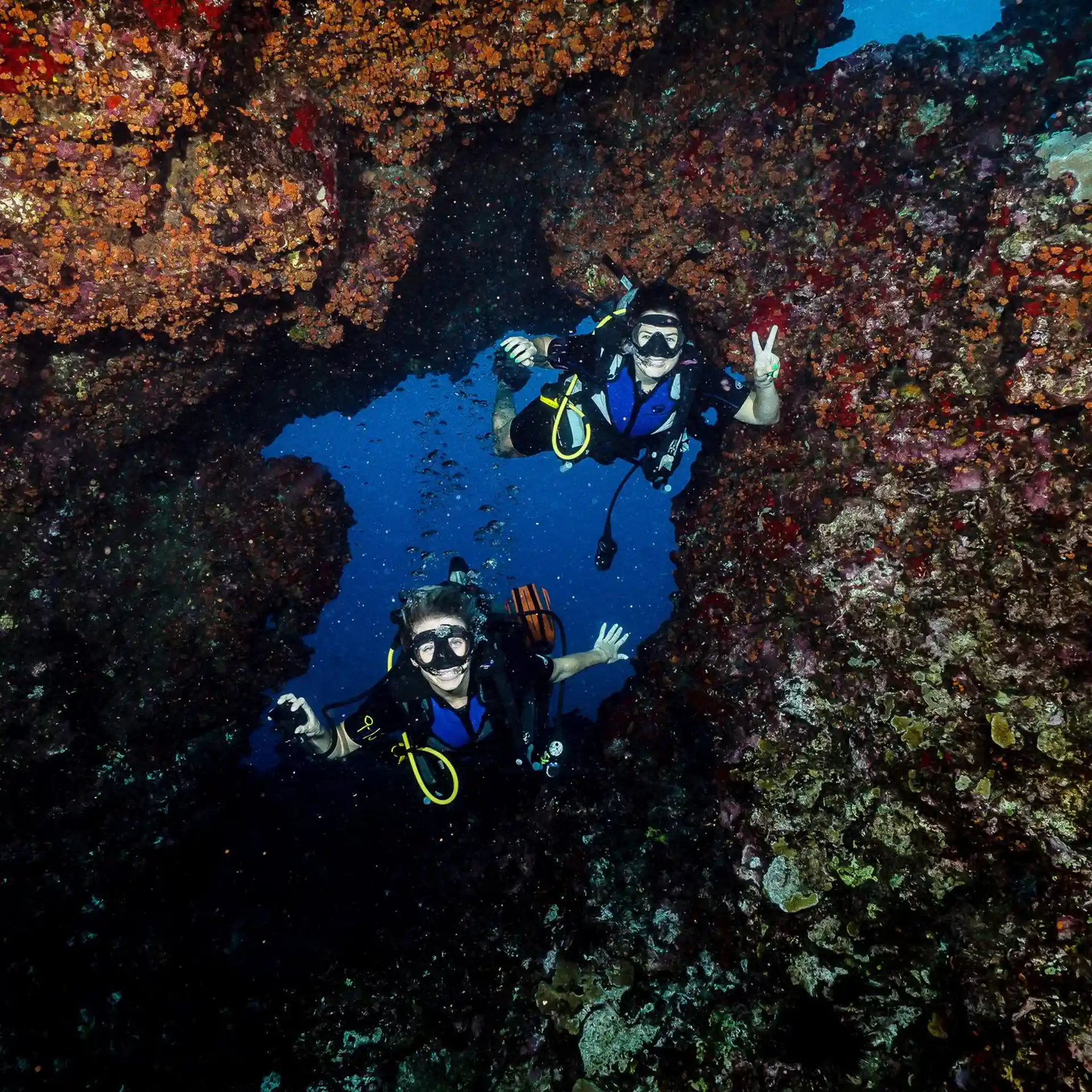 Dive site photo