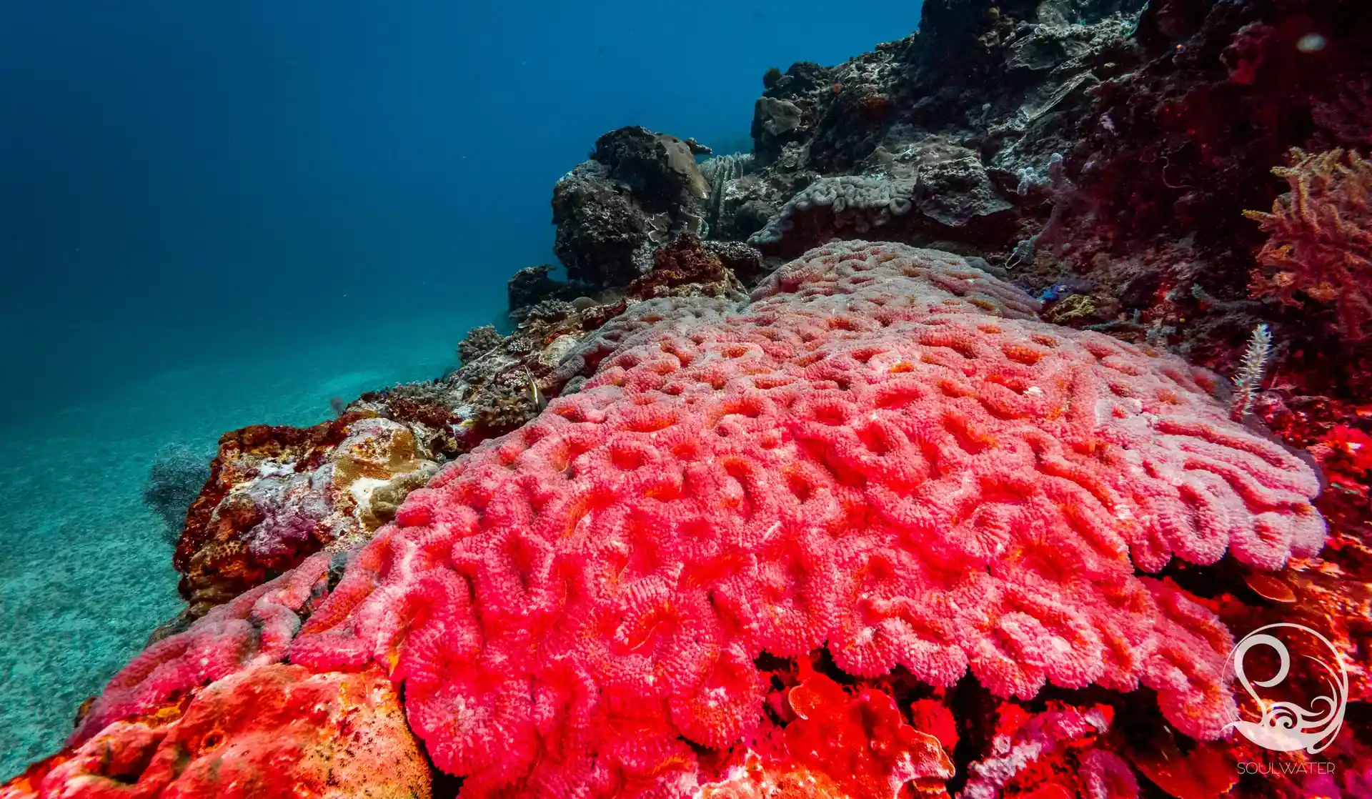 Dive site photo