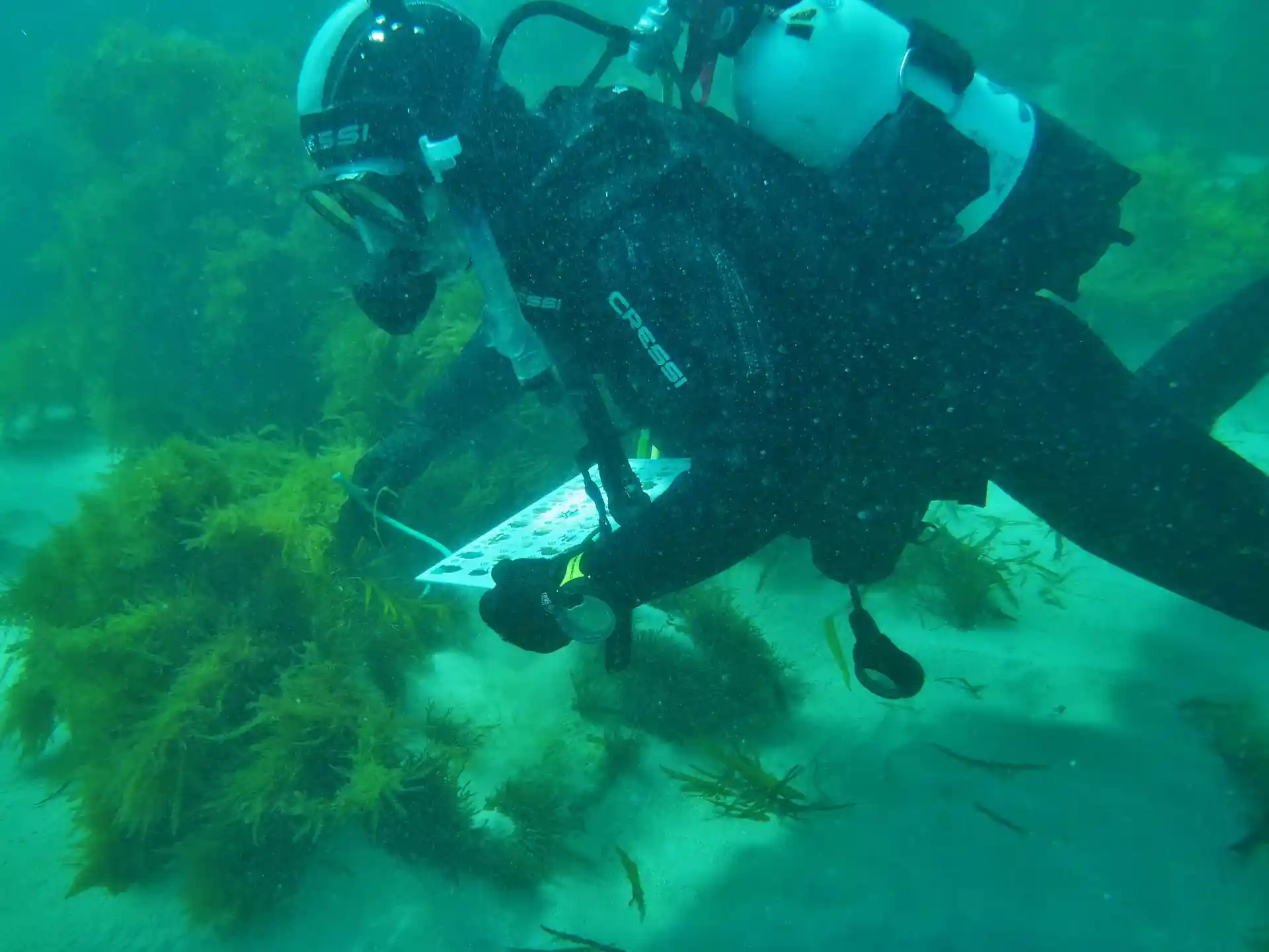 Dive site photo