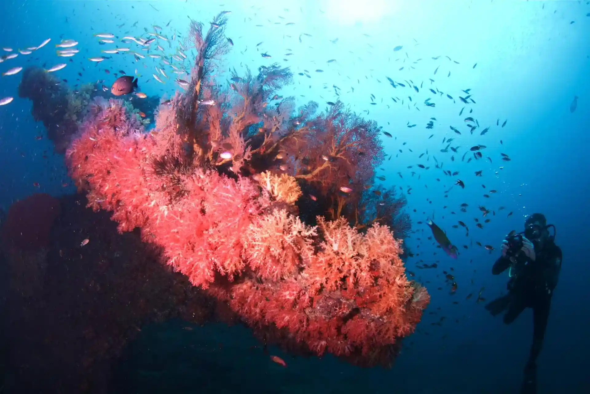 Dive site photo