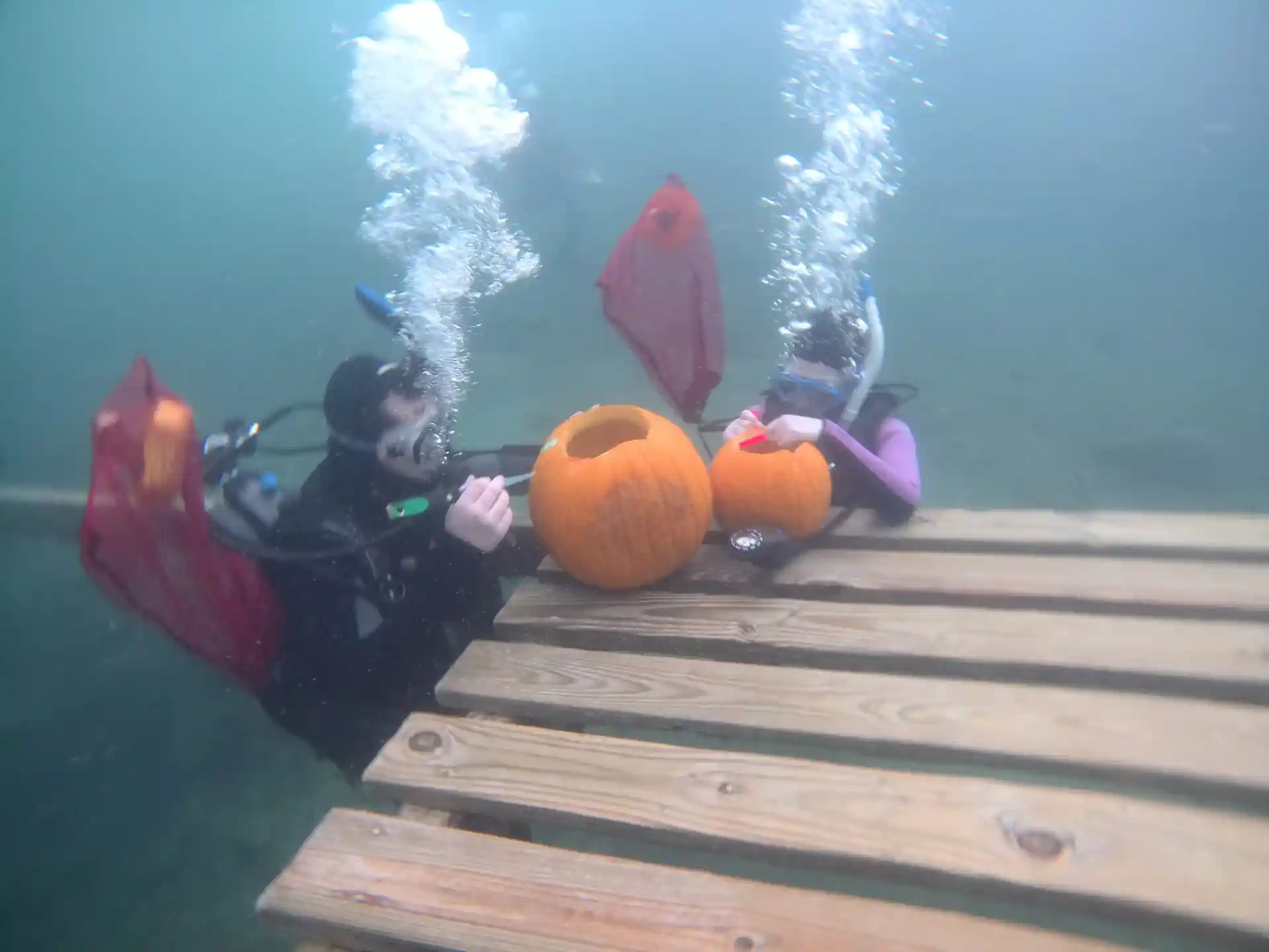 Teamwork makes the Dreamwork when Carving pumpkins underwater.