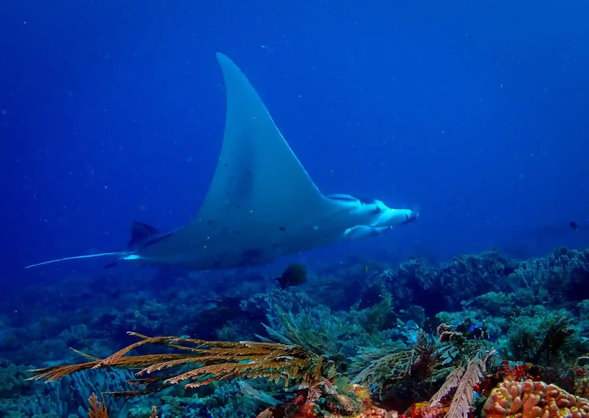 Dive site photo