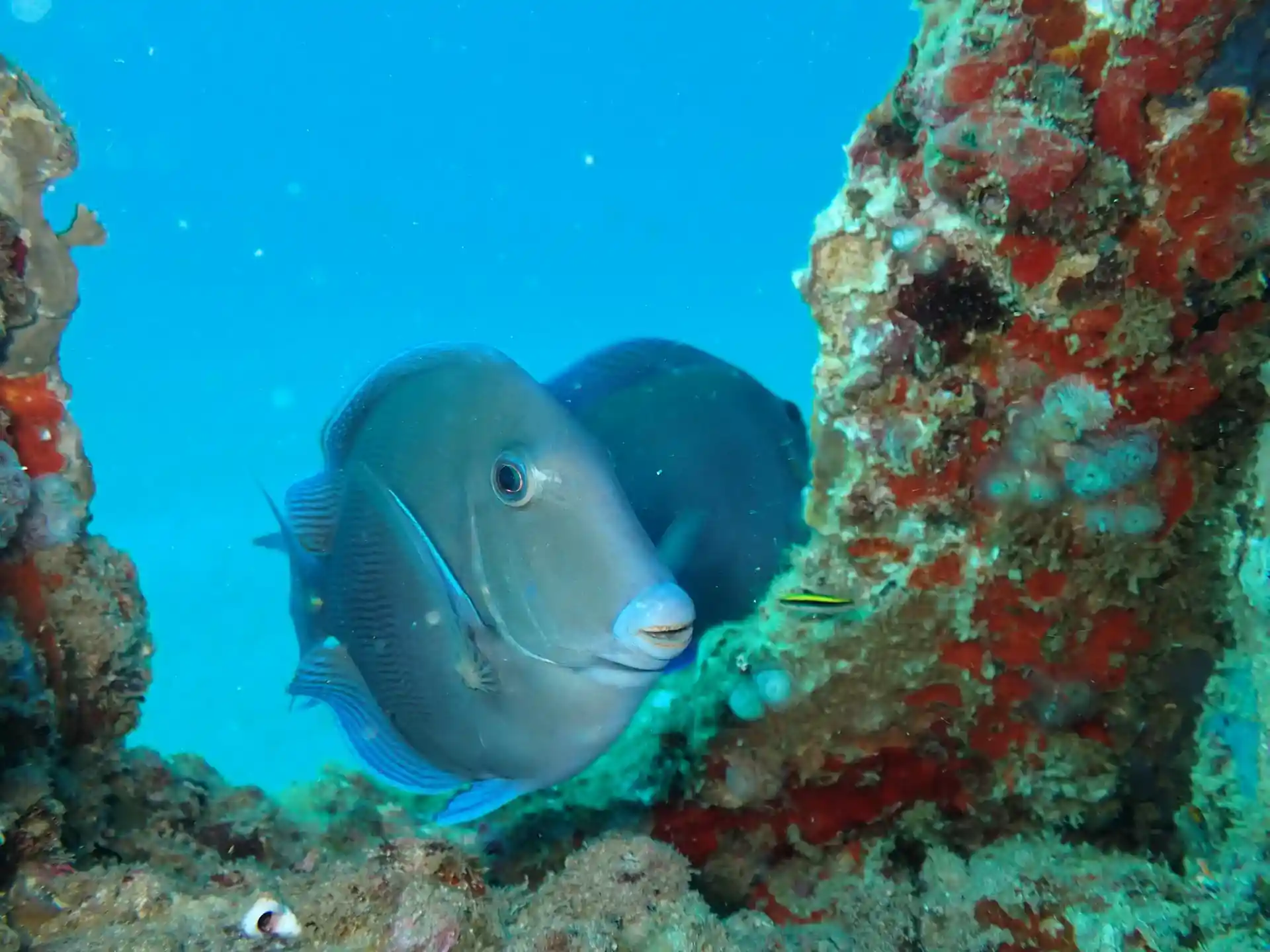 Dive shop photo