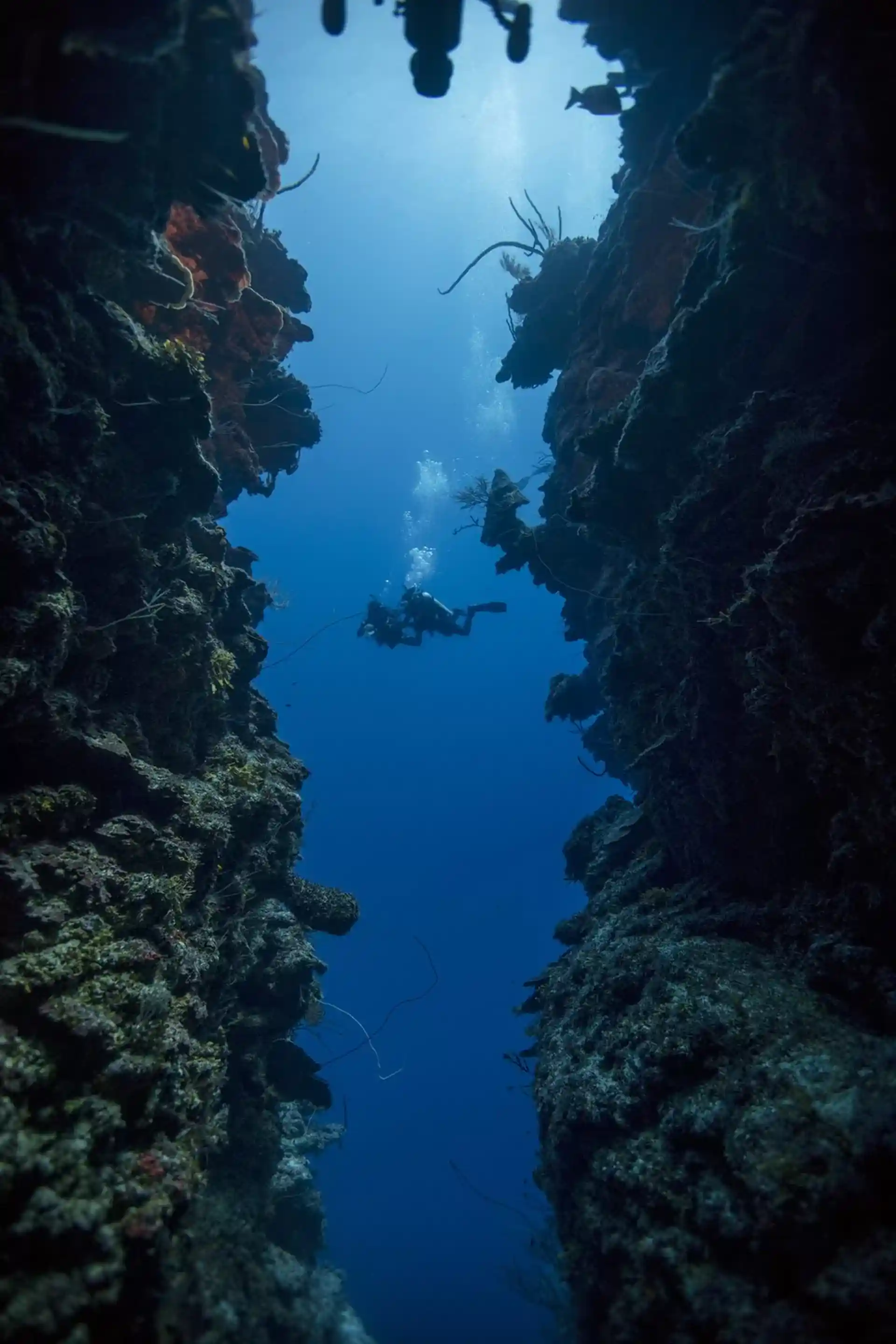 Dive shop photo