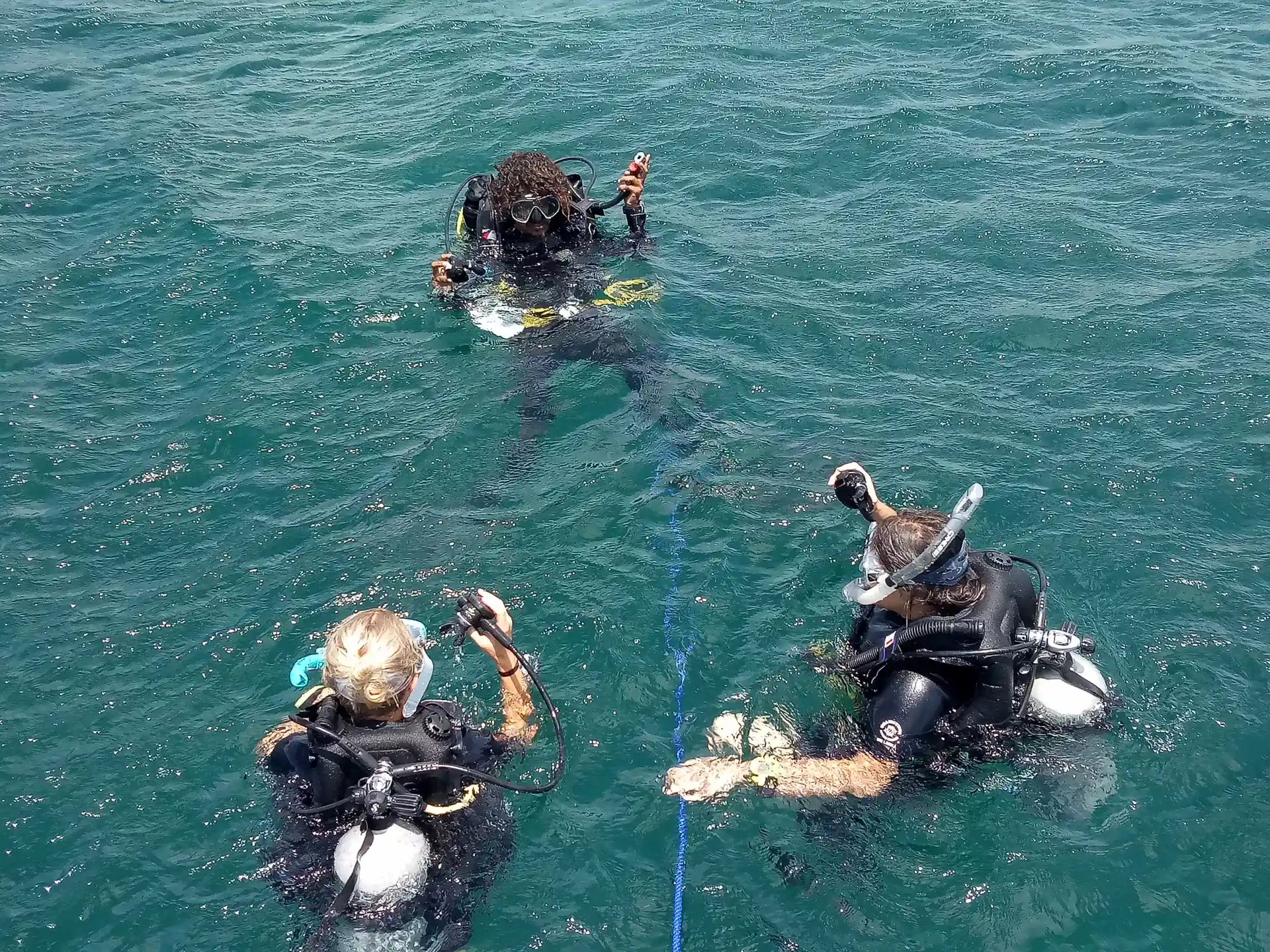 Dive in Sri Lanka!