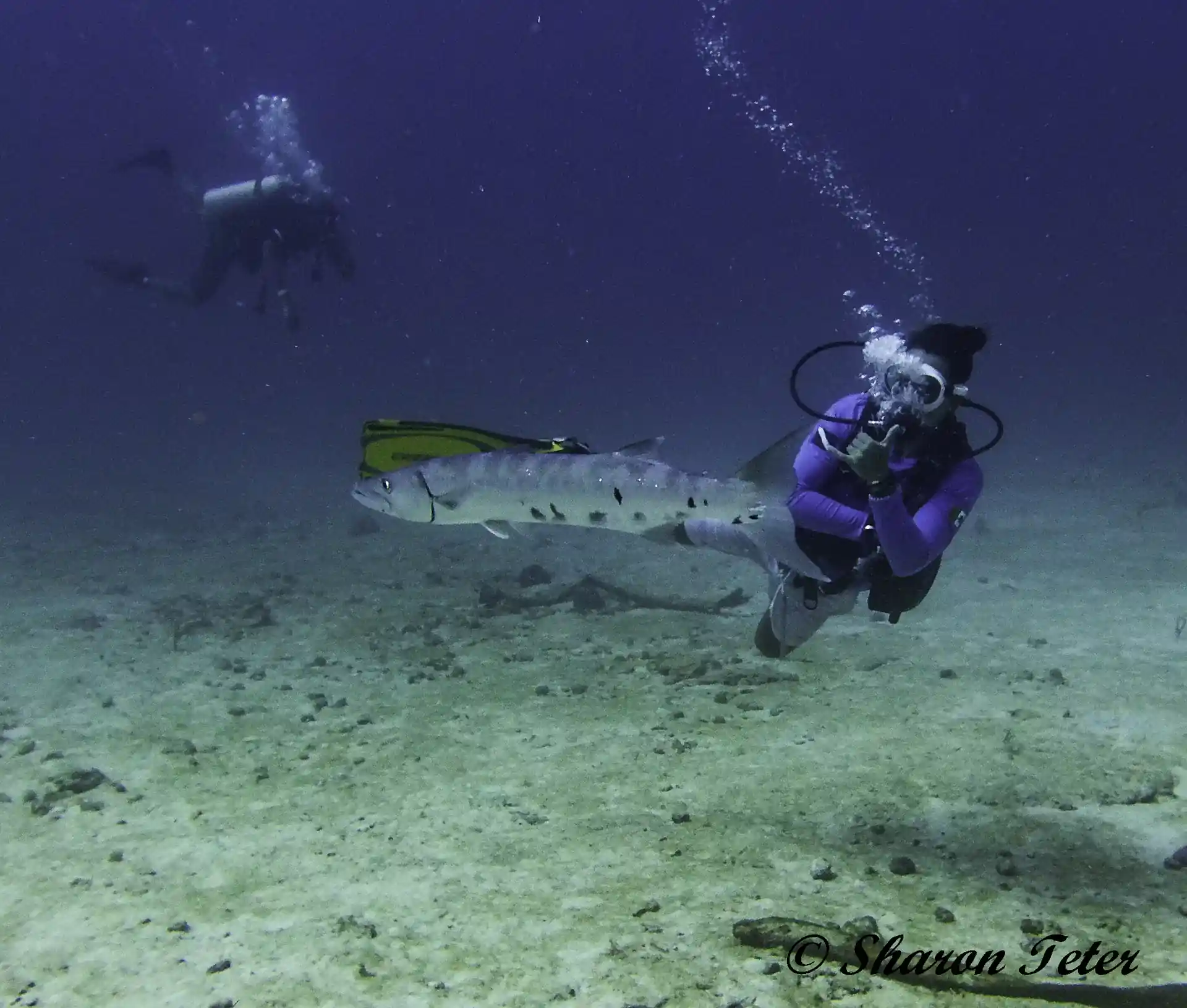 Foto de la actividad