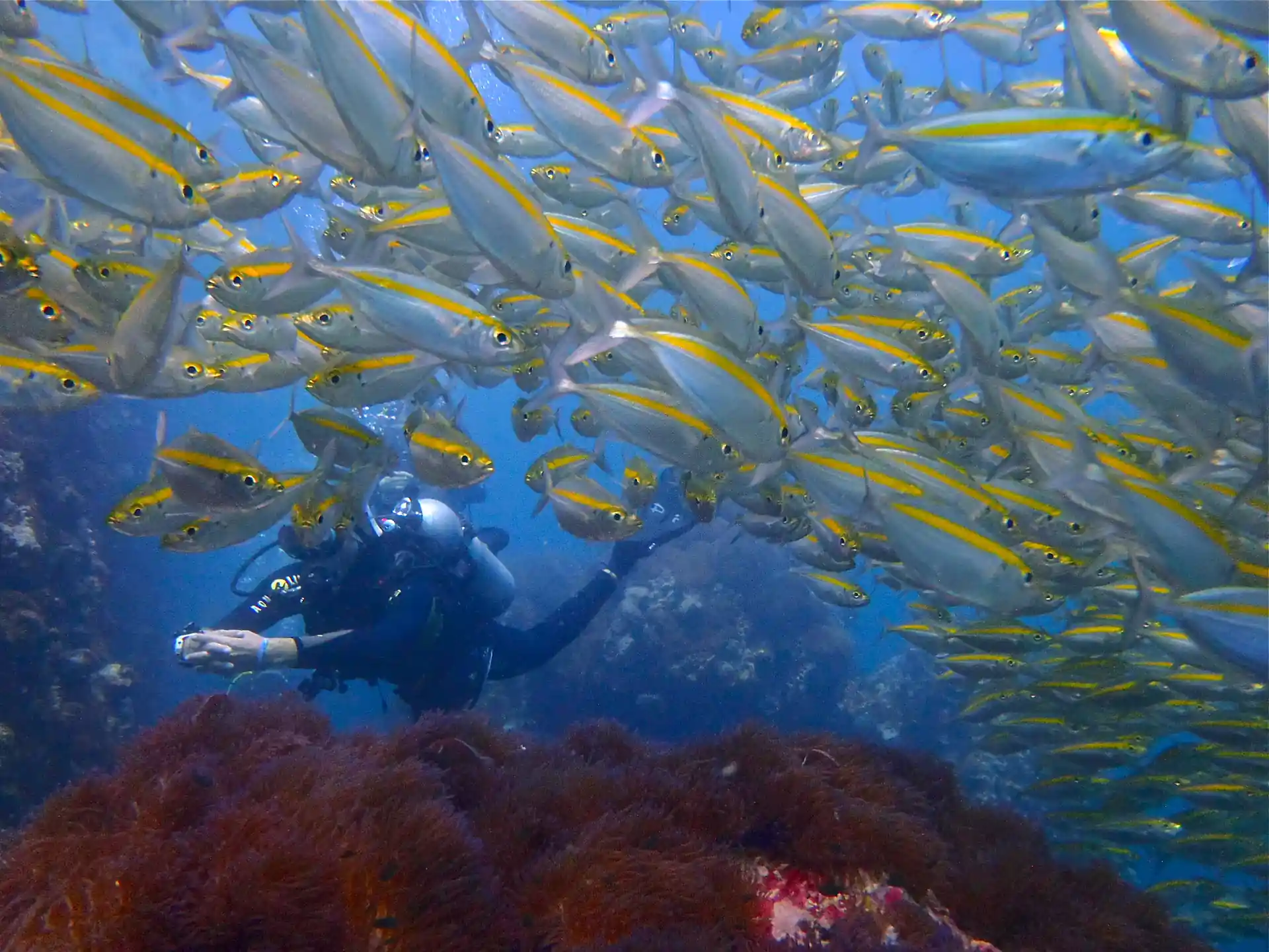 La magie de Koh Tao.
