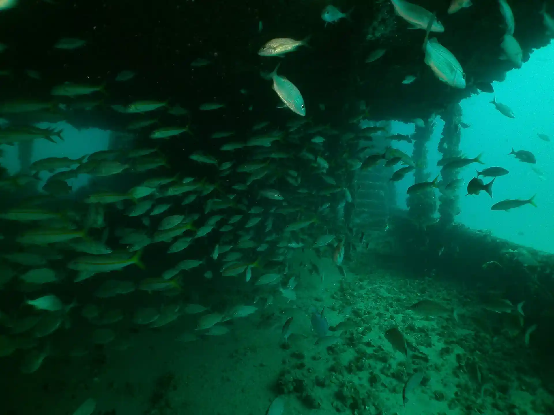 Dive site photo