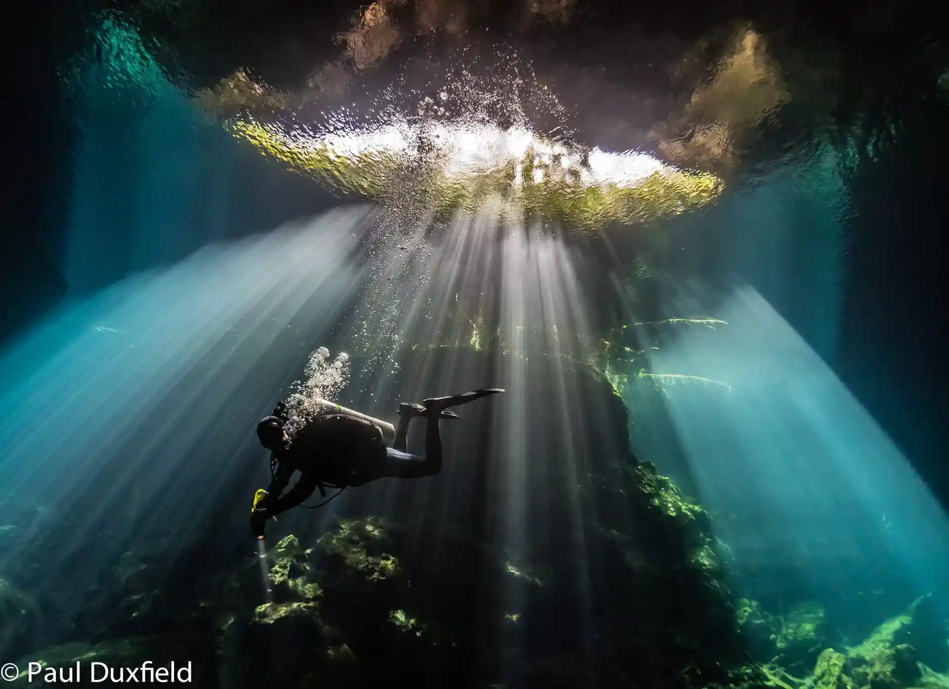 Photo de l'activité