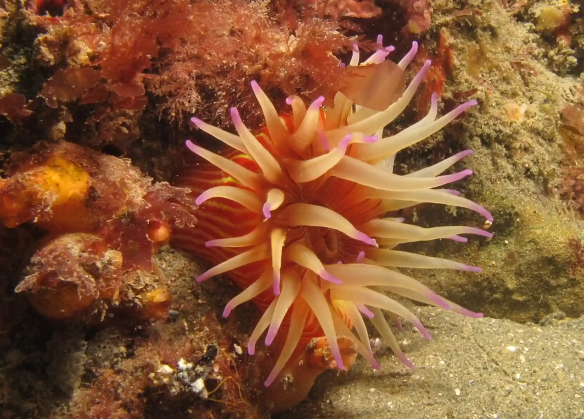 Dive site photo