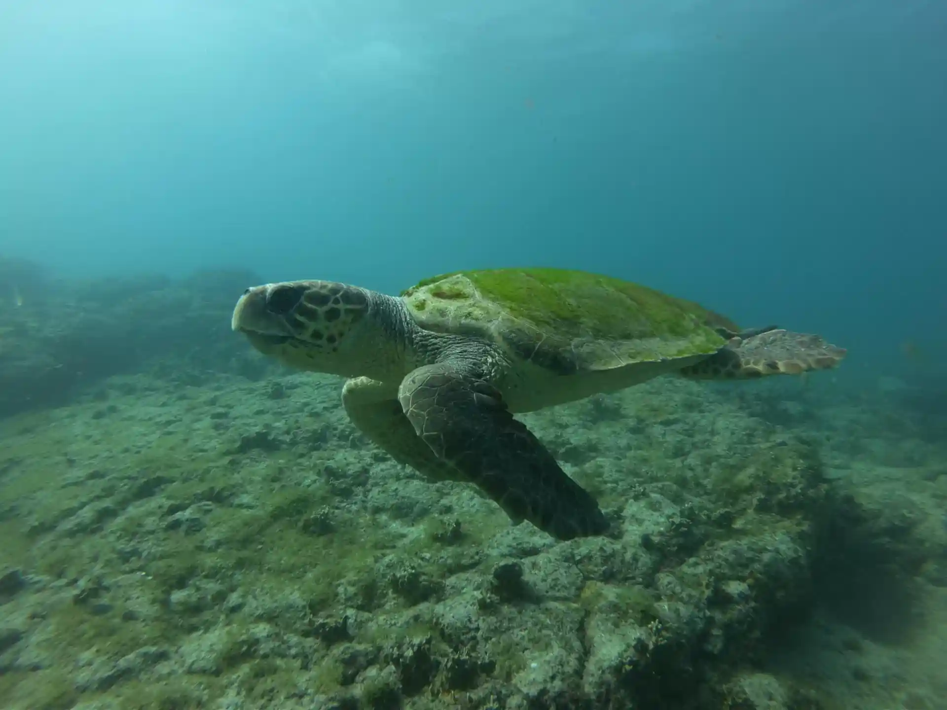 Dive site photo