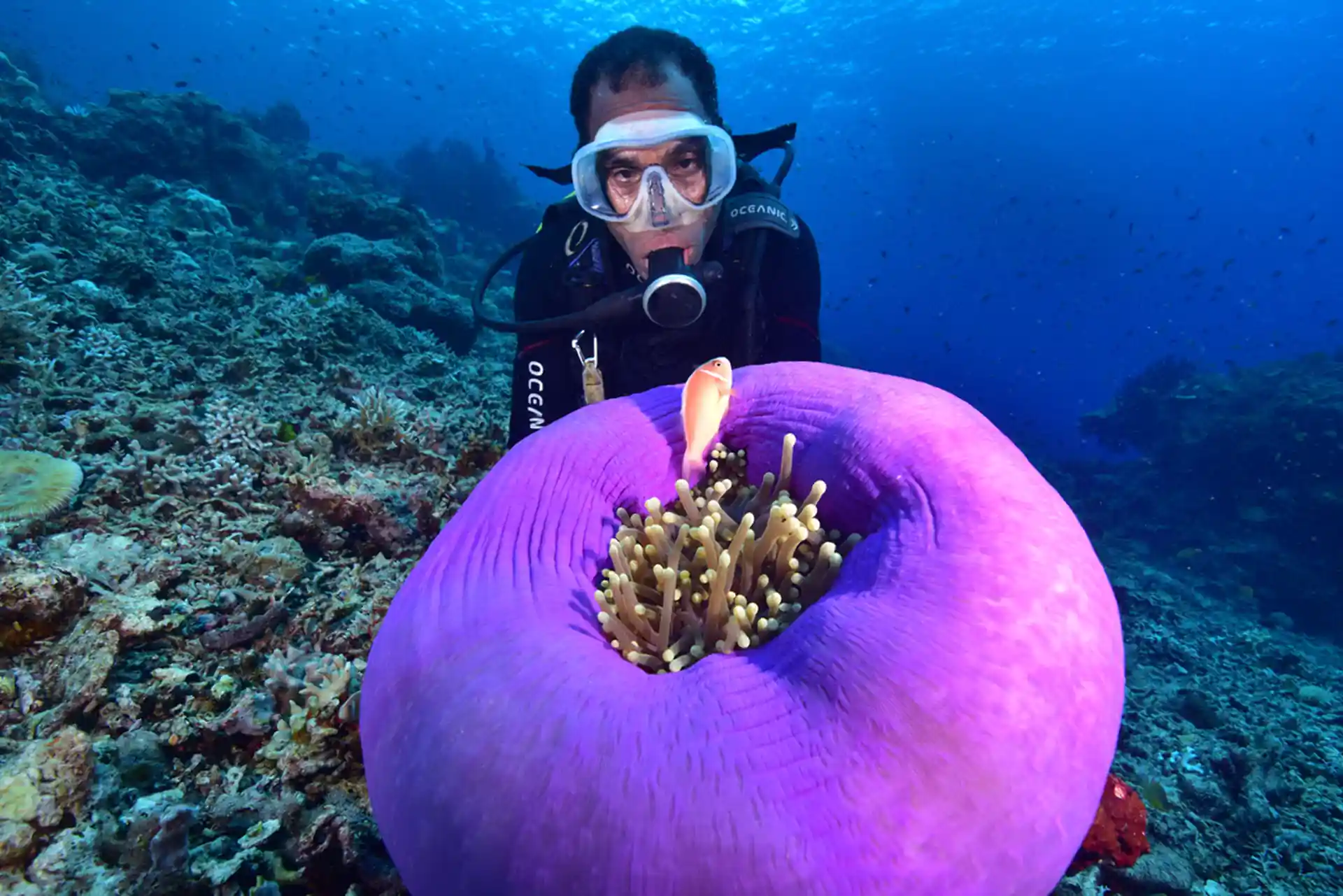 Dive site photo