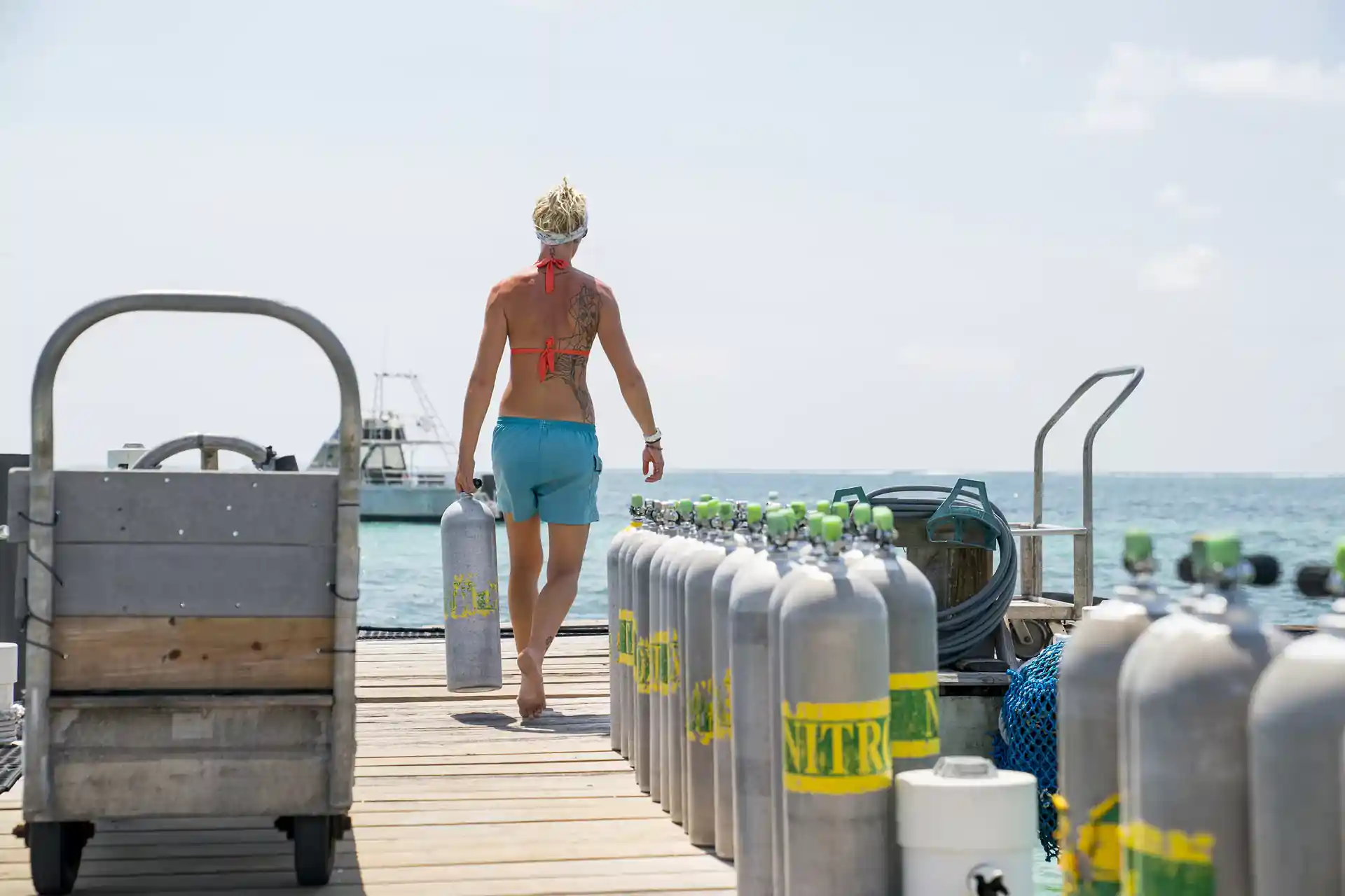 Foto de la actividad