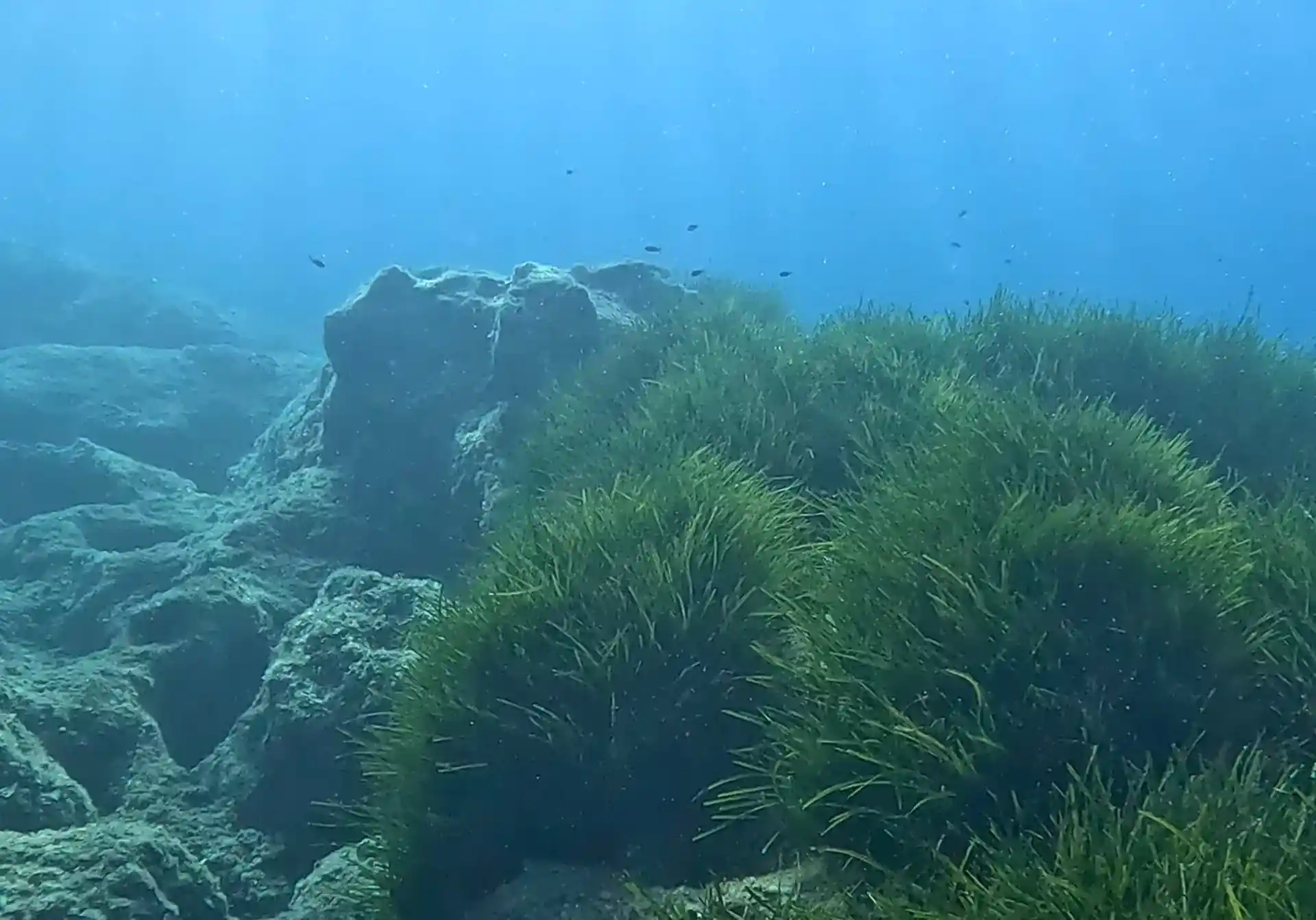 Dive site photo