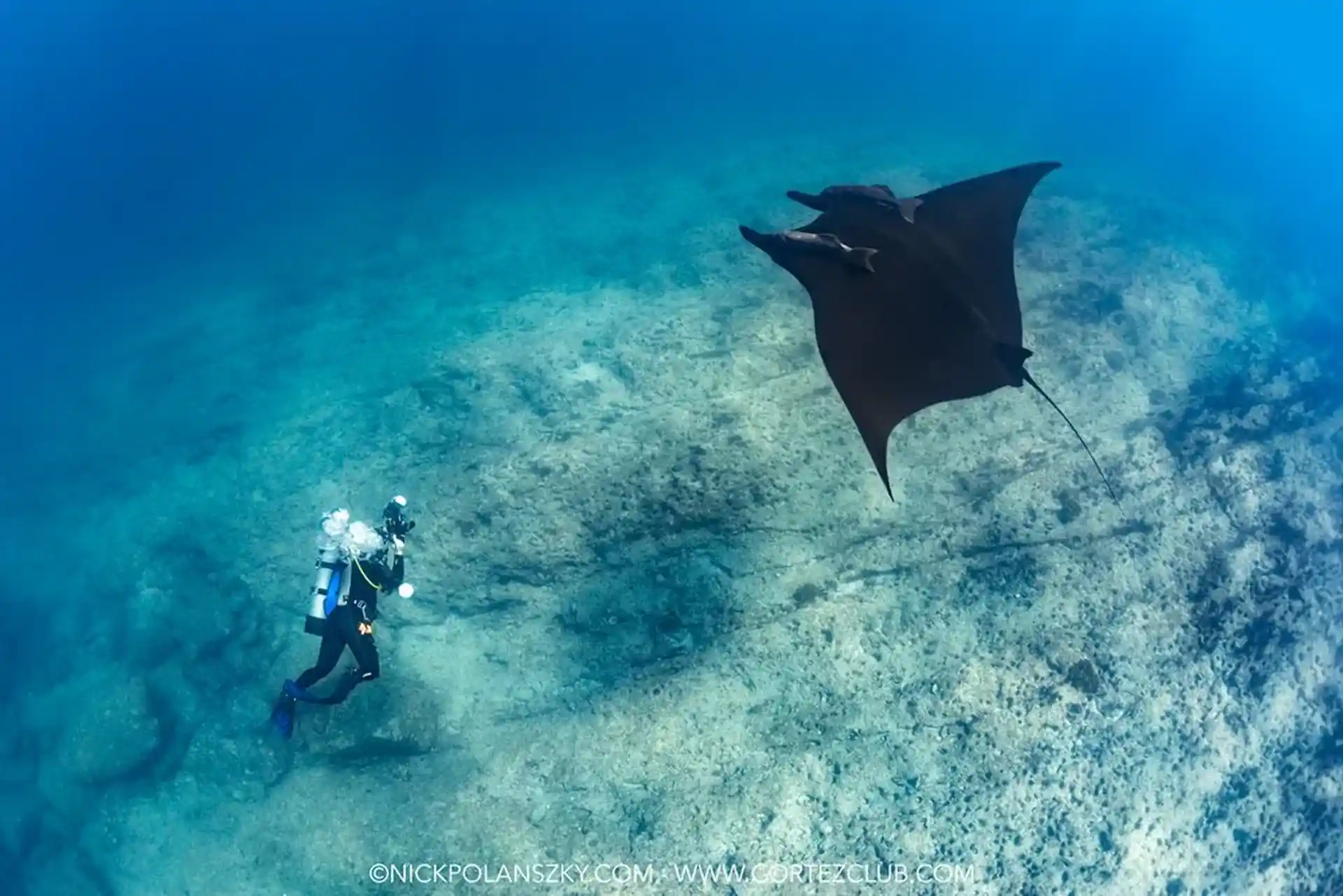 Foto de la actividad