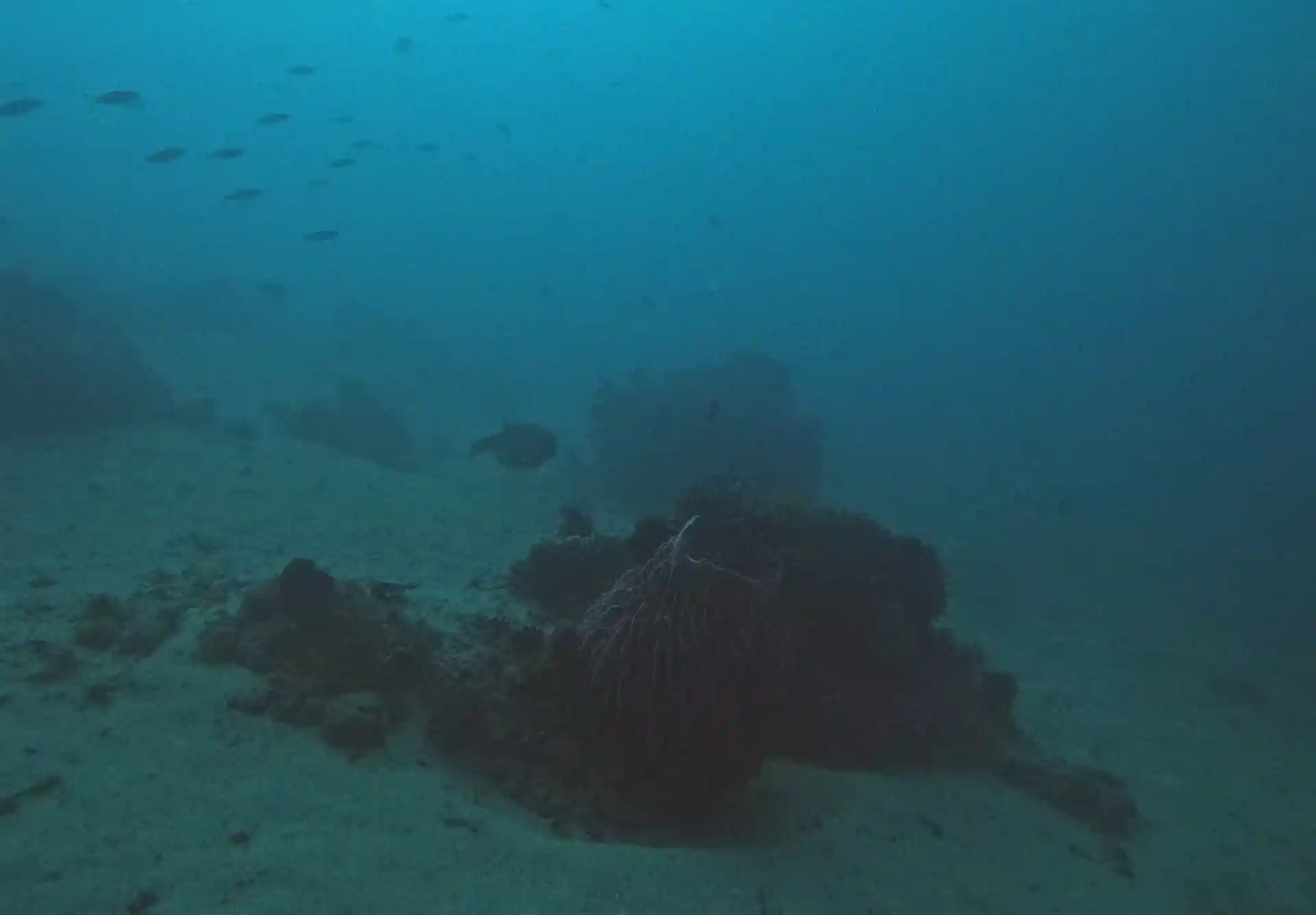 Dive site photo