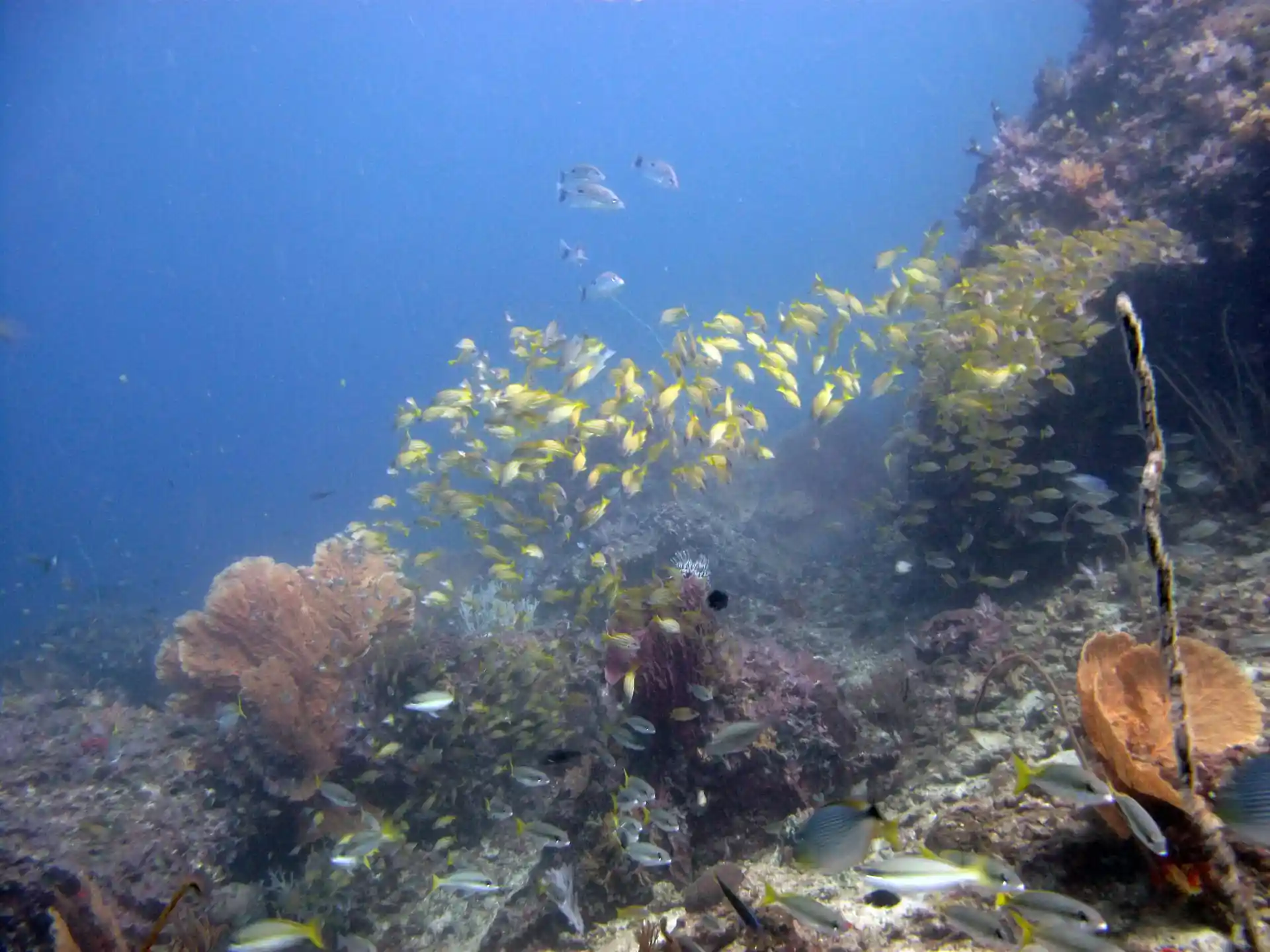 다이빙 포인트 사진