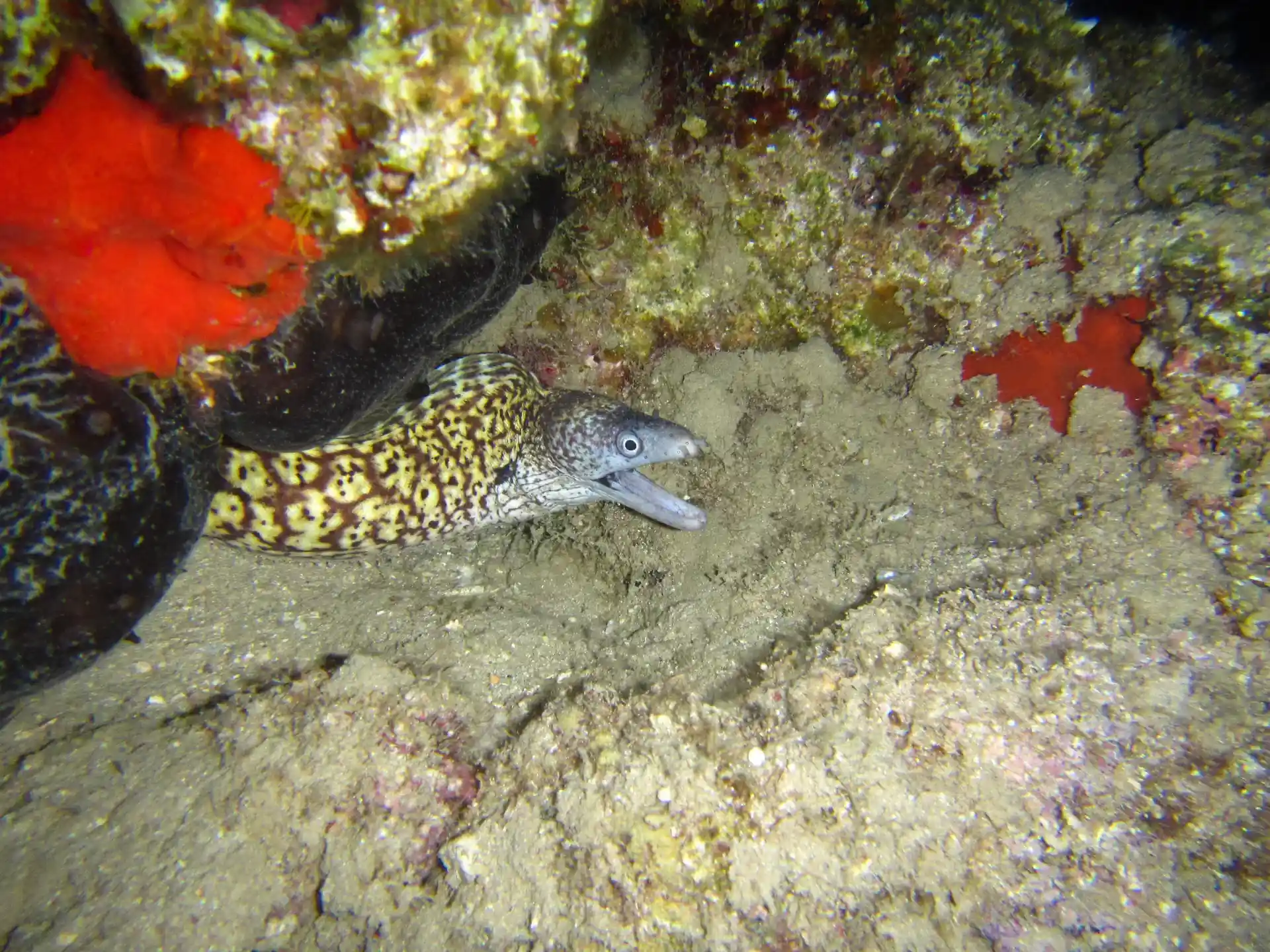 Dive site photo