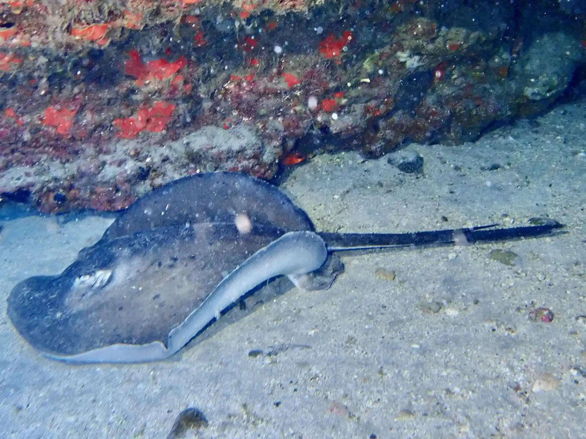 다이빙 포인트 사진