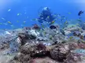 Dive center image