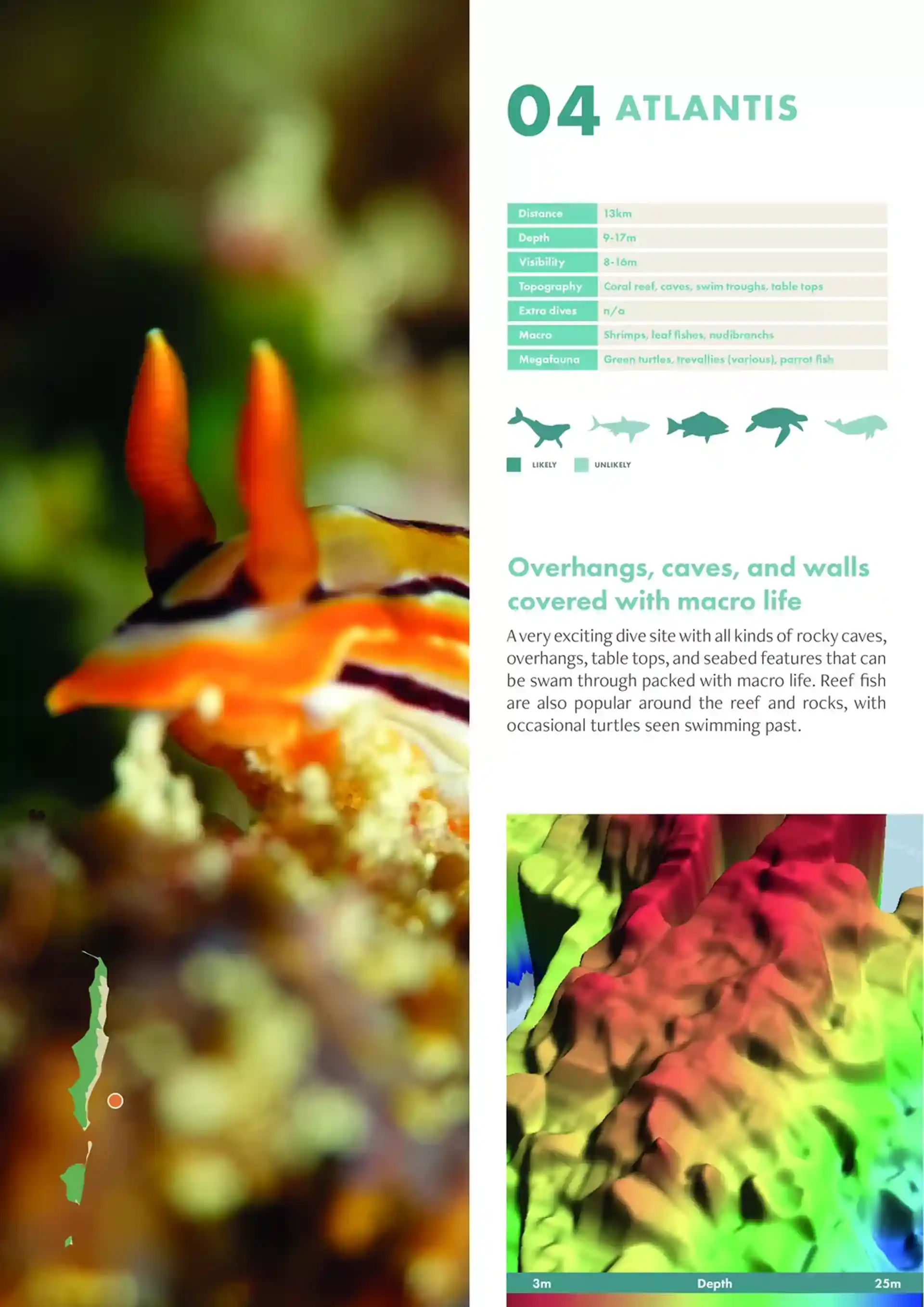 다이빙 포인트 사진