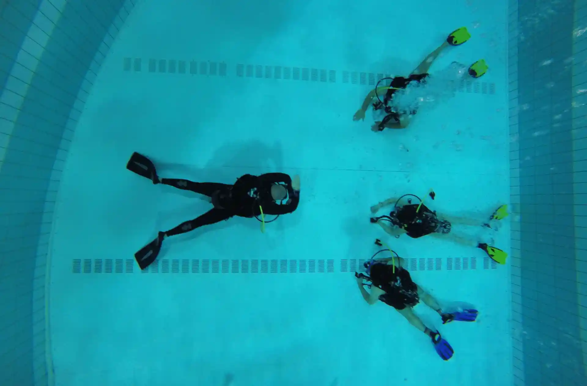 Photo de l'activité