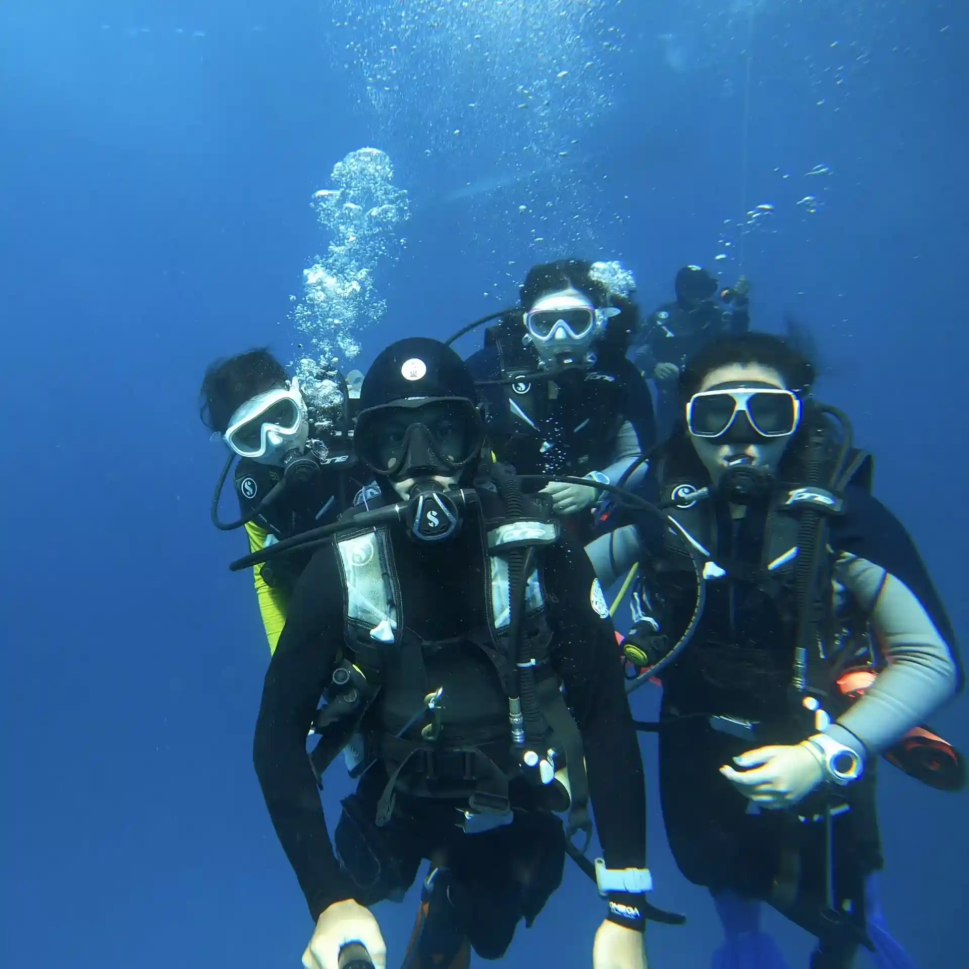 Diving is fun.