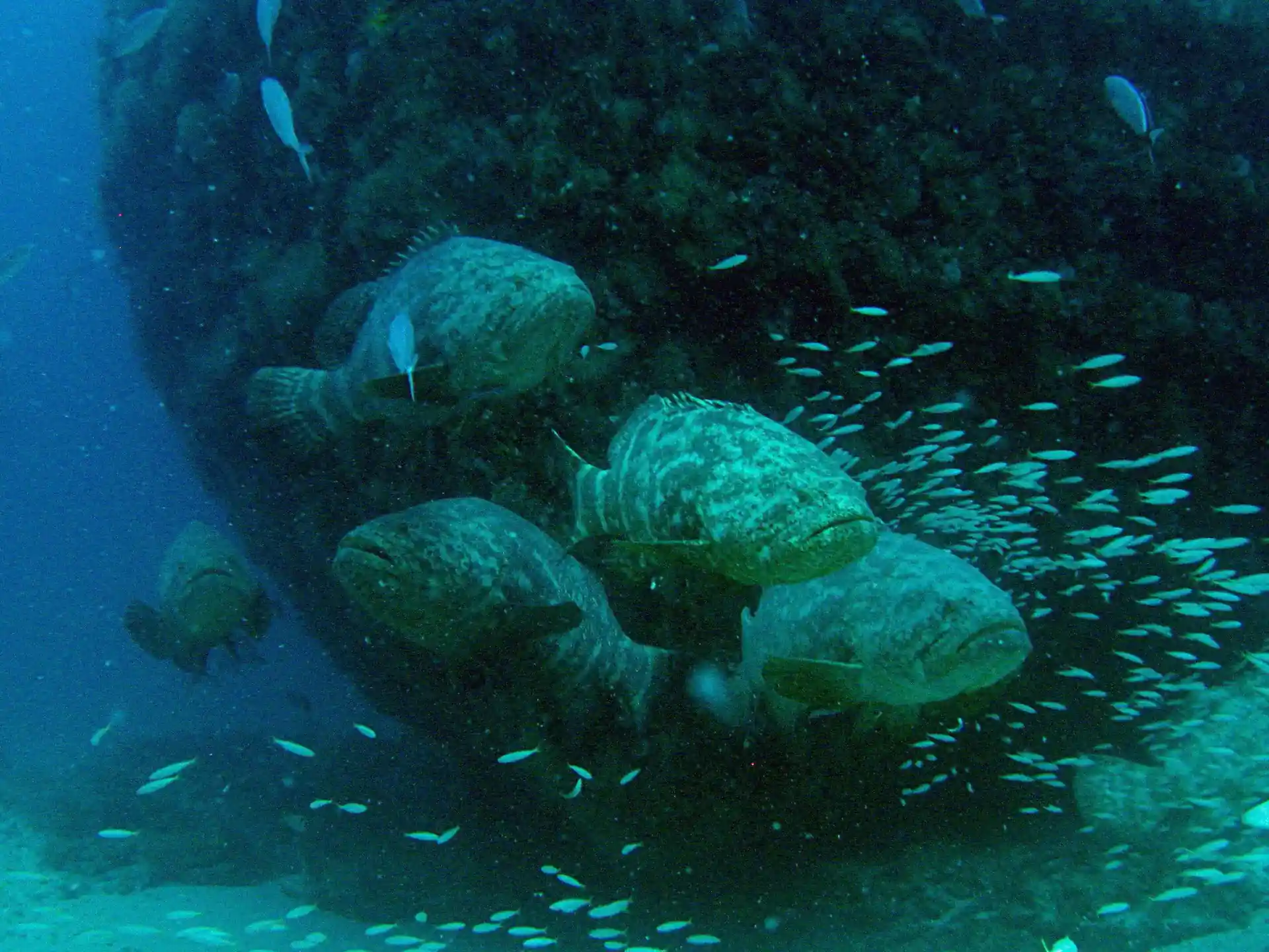 Dive site photo