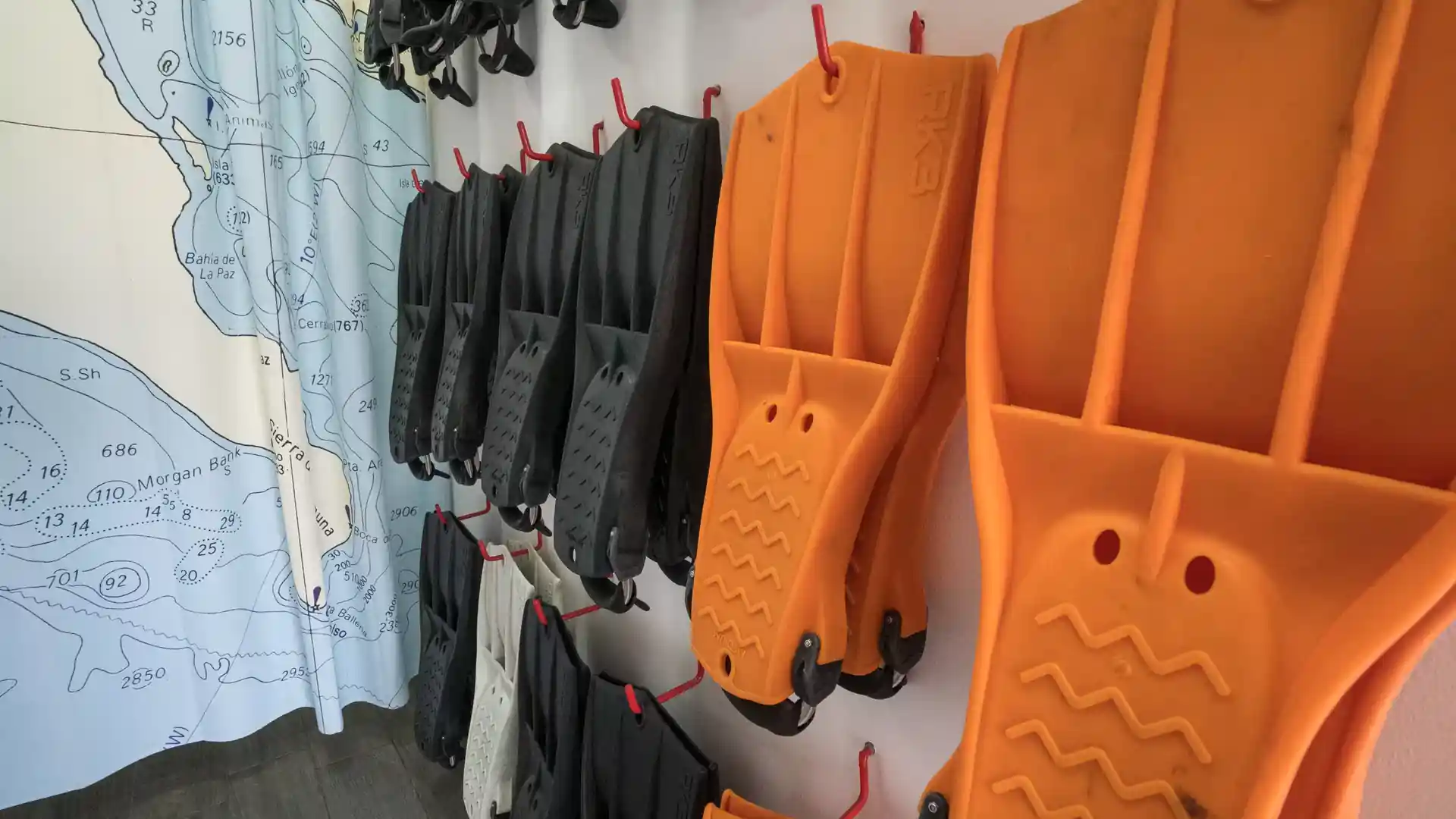 Dive shop photo