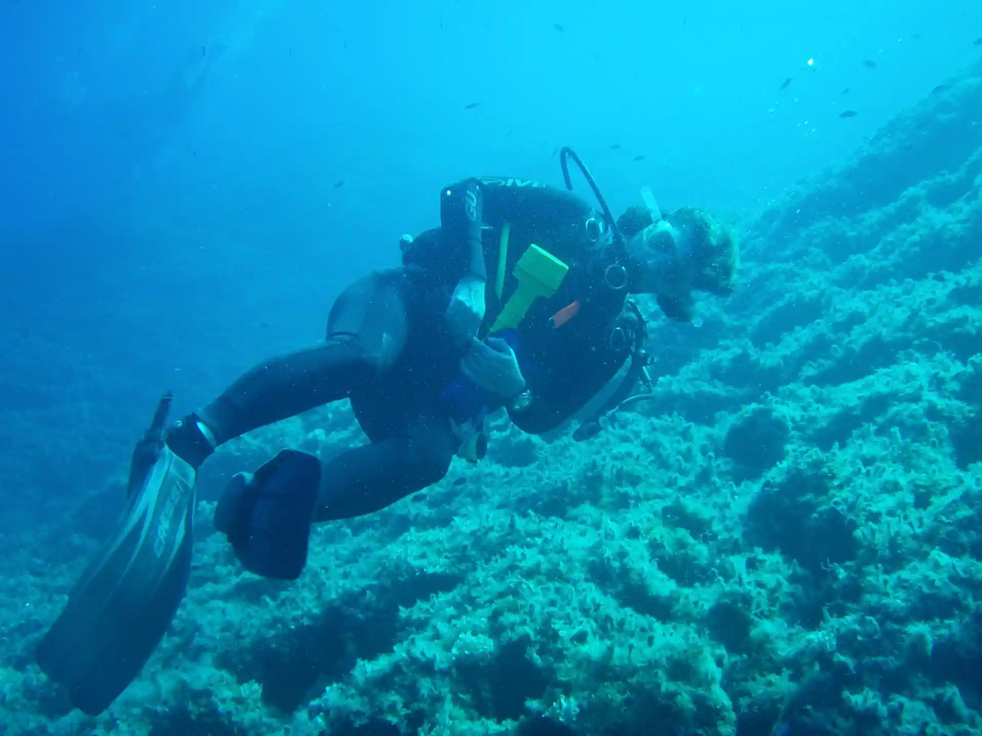 Photo du site de plongée