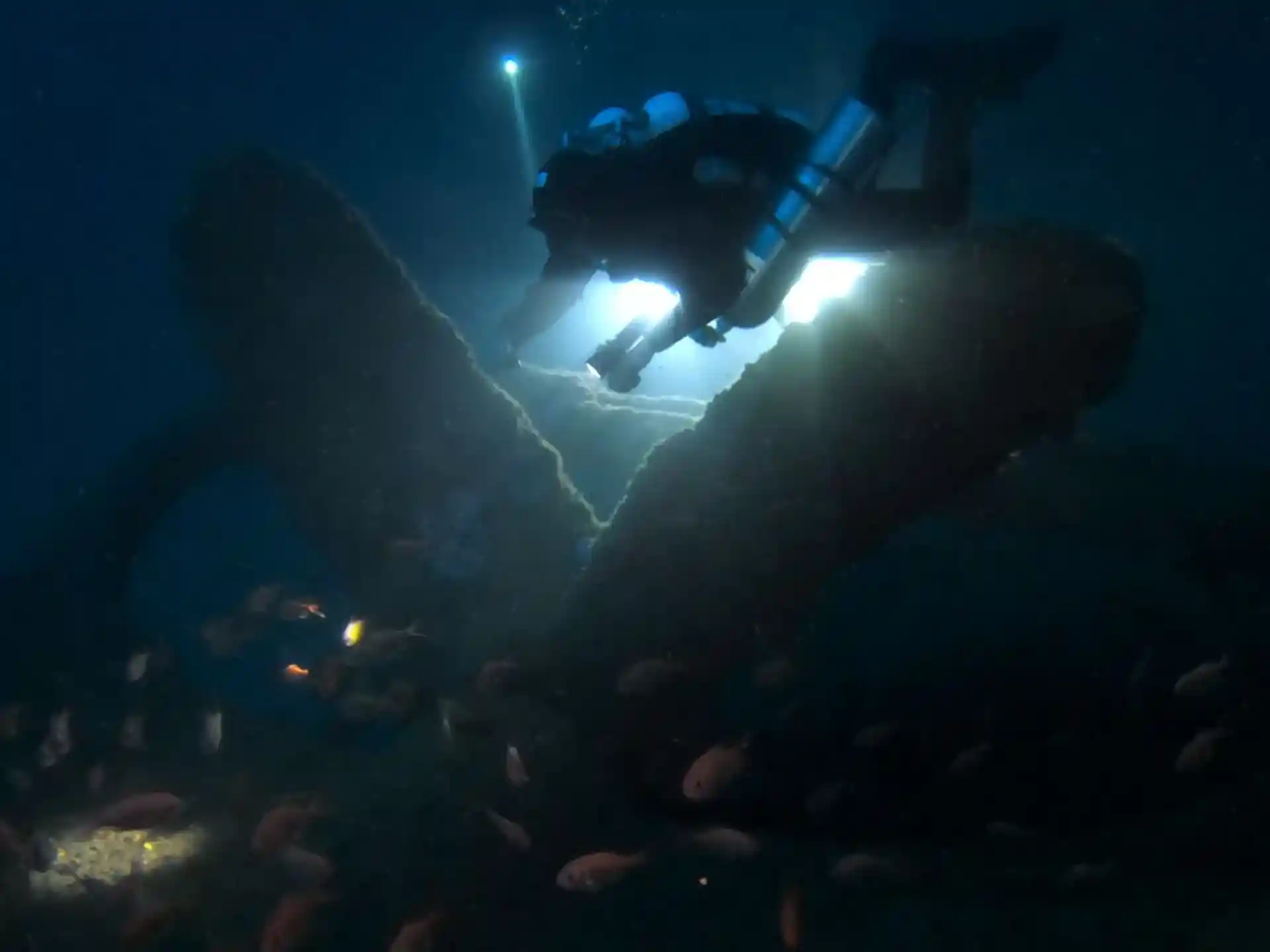 Dive site photo
