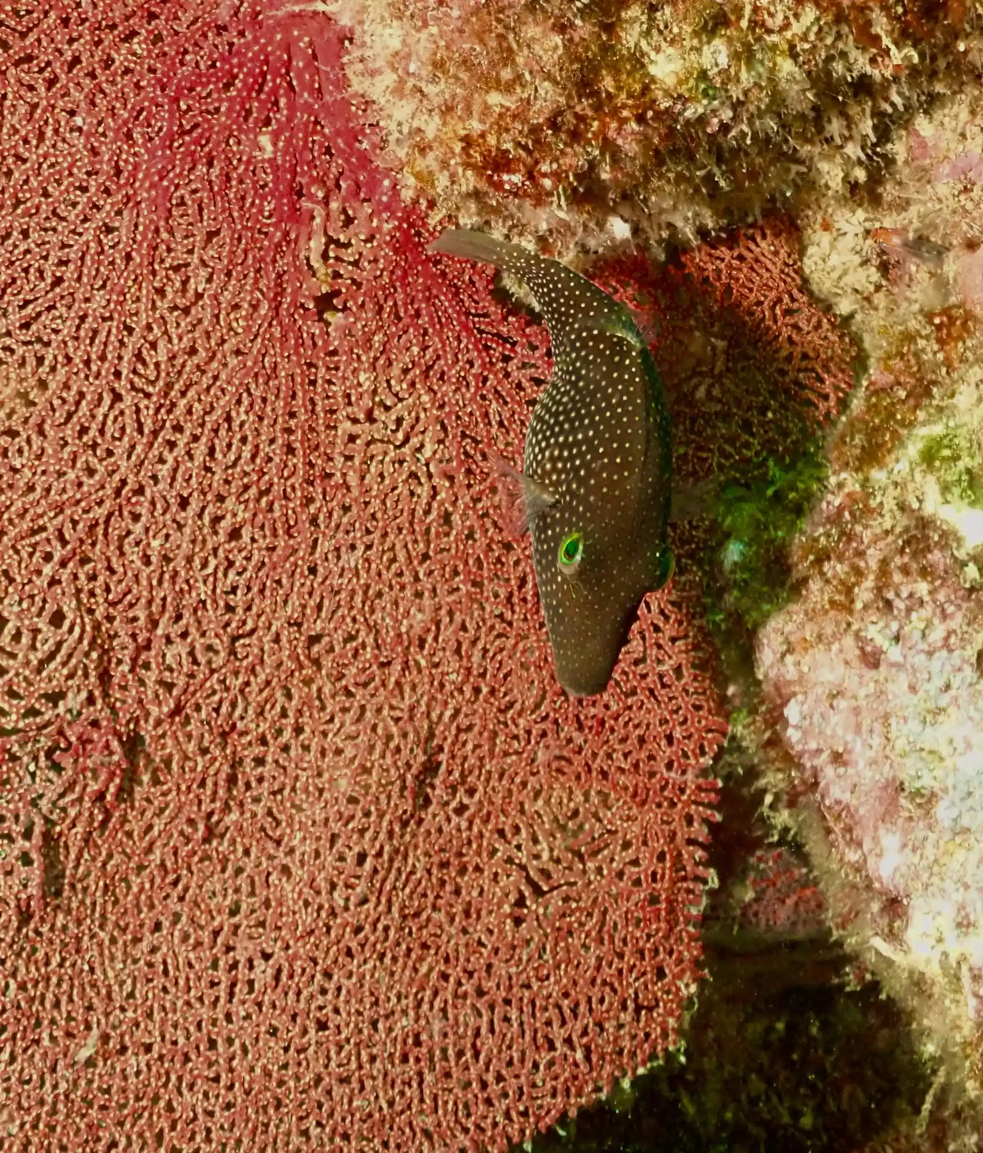 Interesting discoveries all along the way.