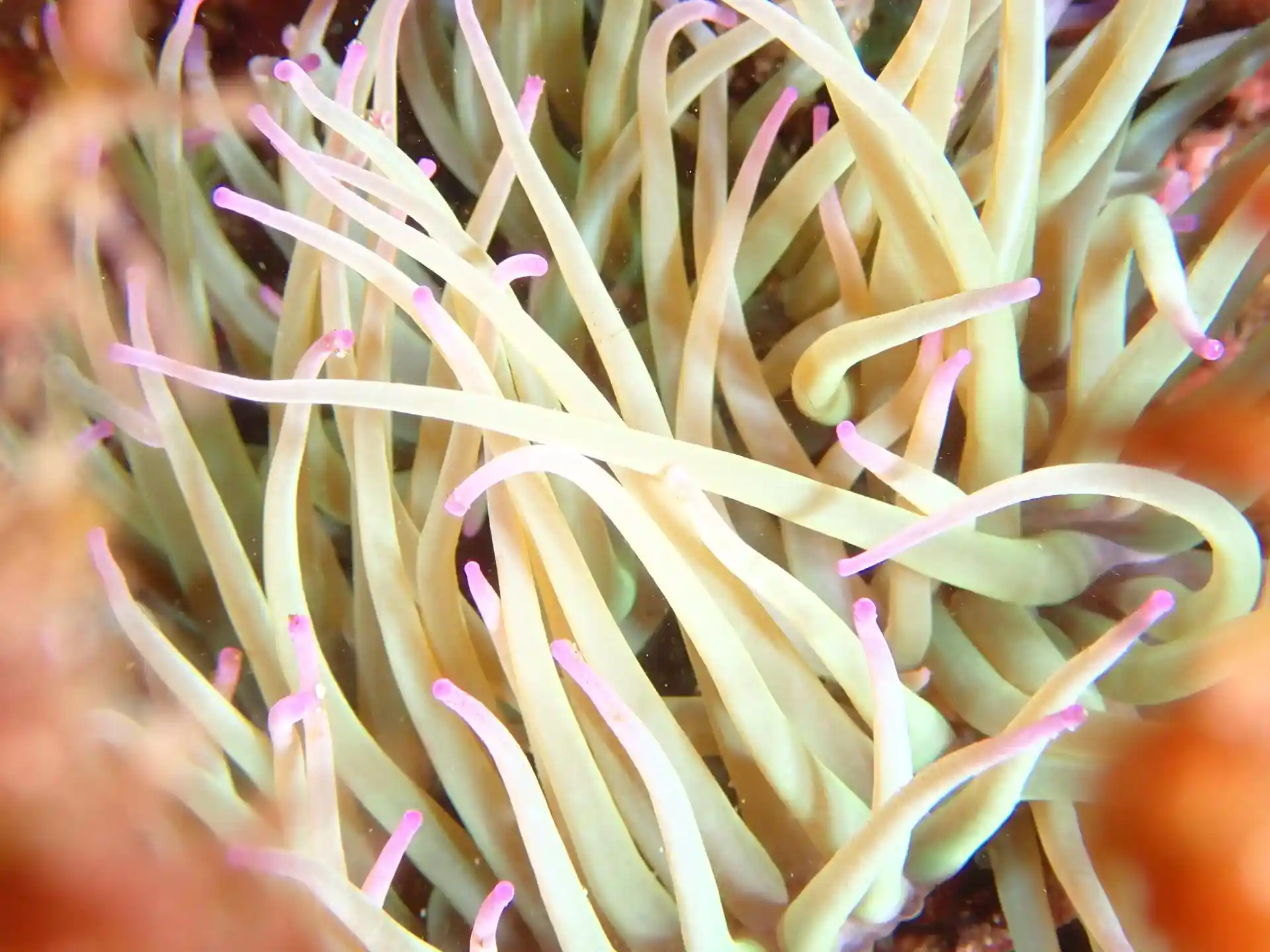 Dive site photo