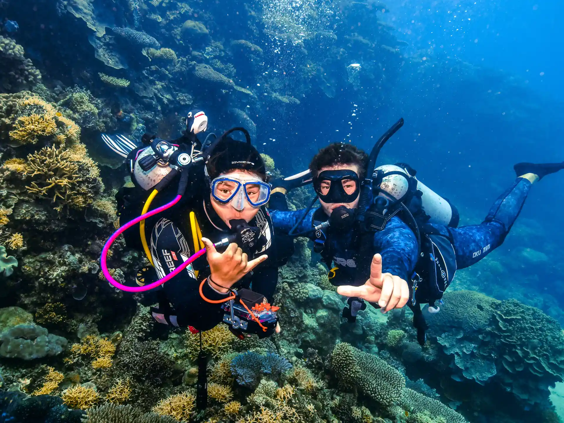 Dive shop photo