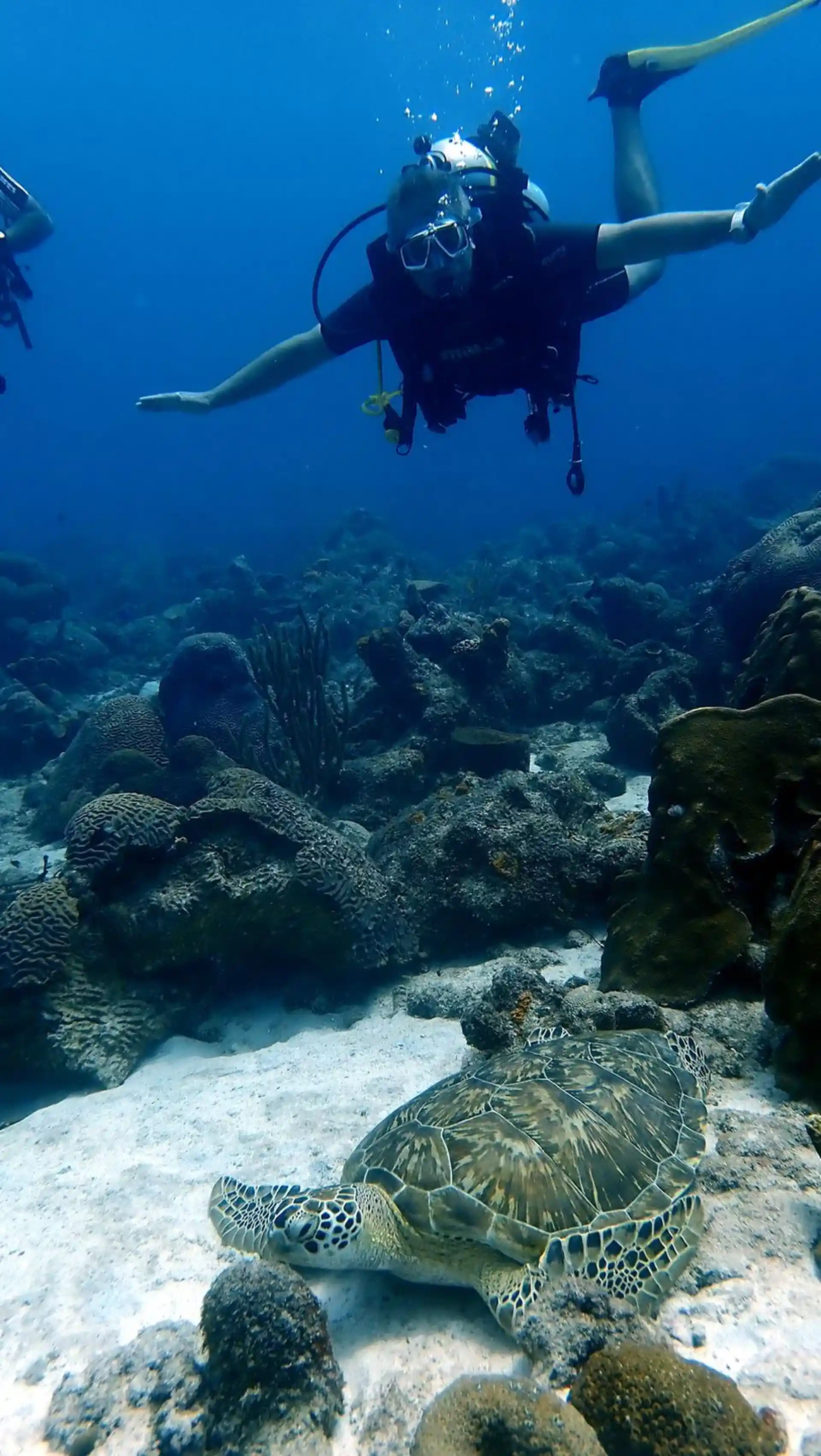 Dive site photo