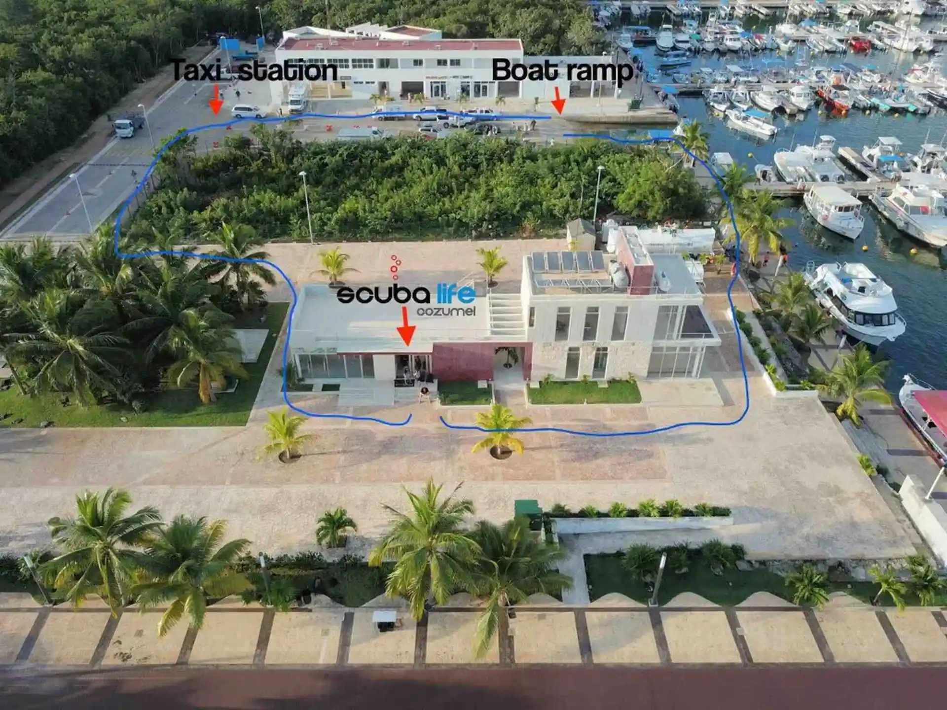 Foto de la tienda de buceo