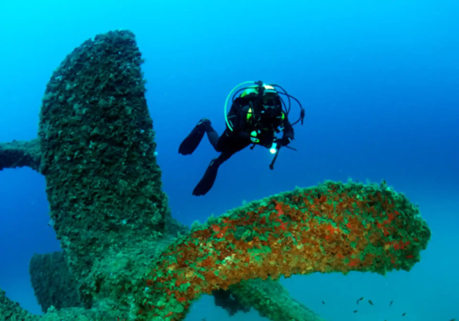 다이빙 포인트 사진