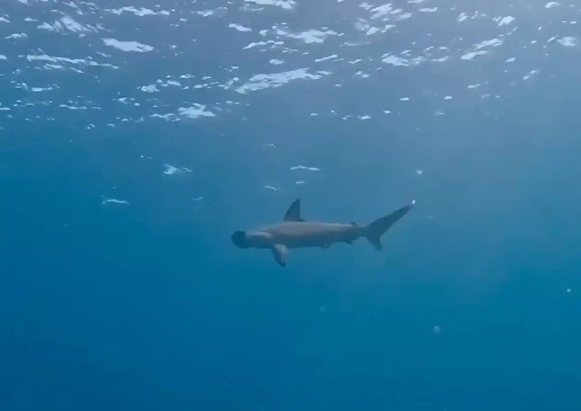 Foto del sitio de buceo