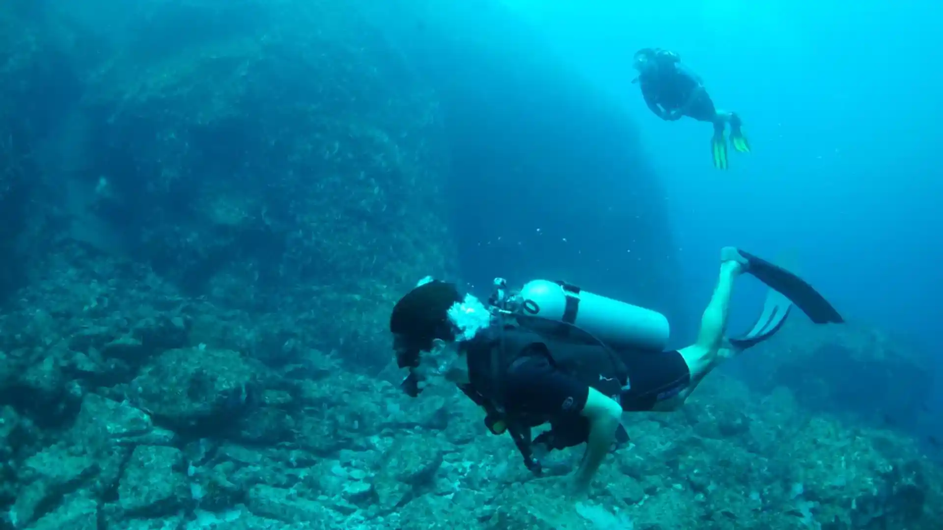 The silent world of the reef.