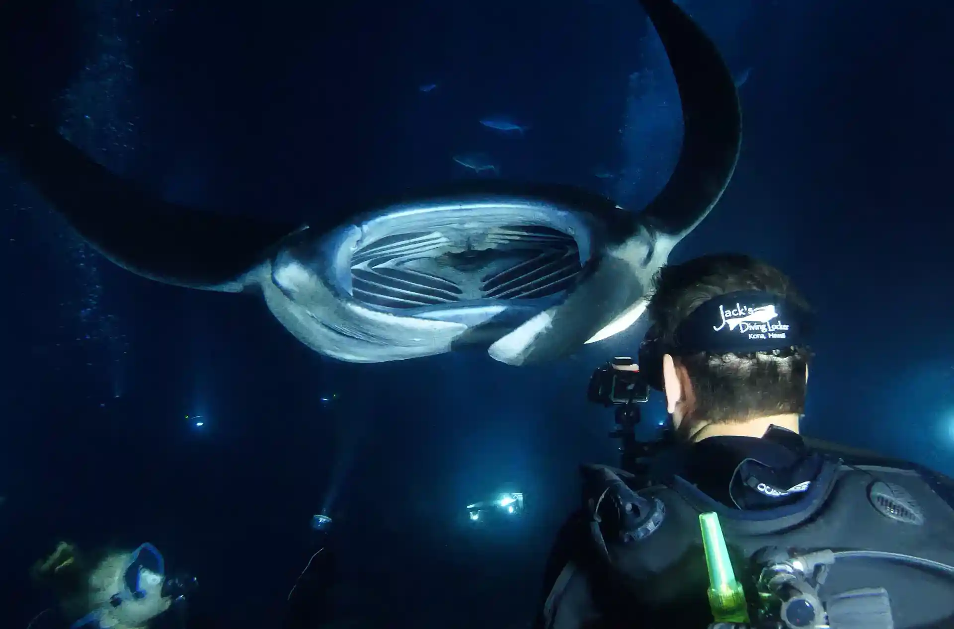 다이빙 포인트 사진