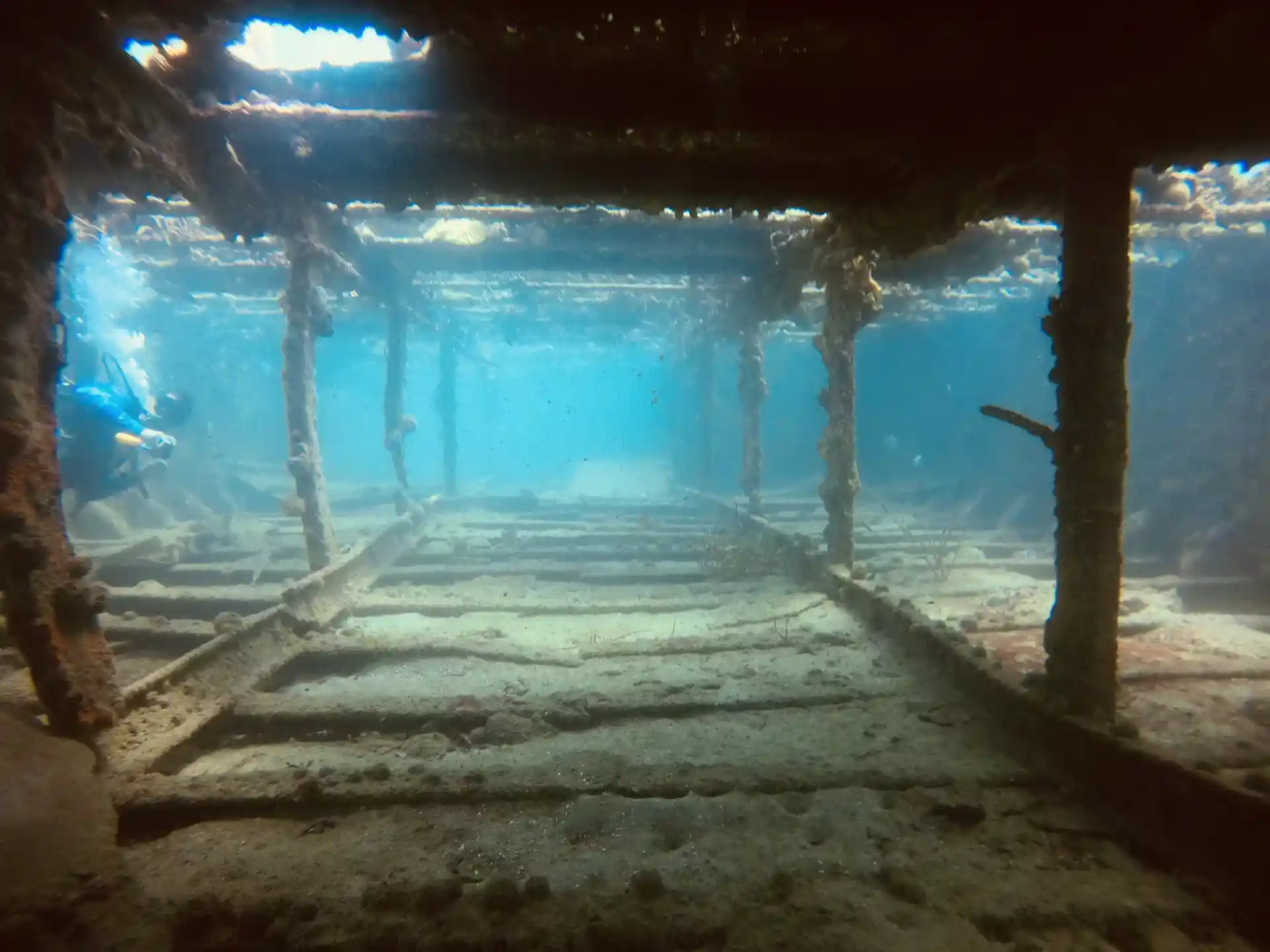 다이빙 포인트 사진