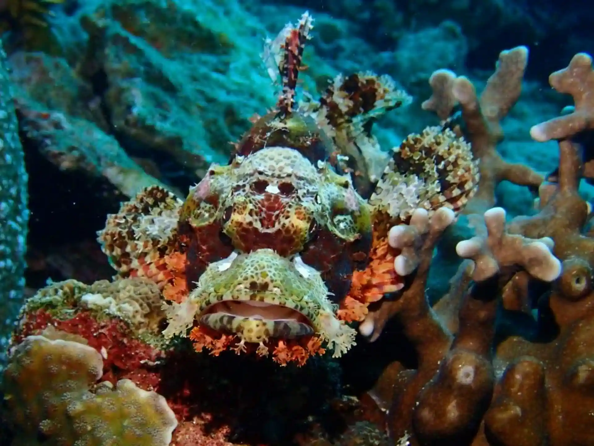 Foto de la actividad