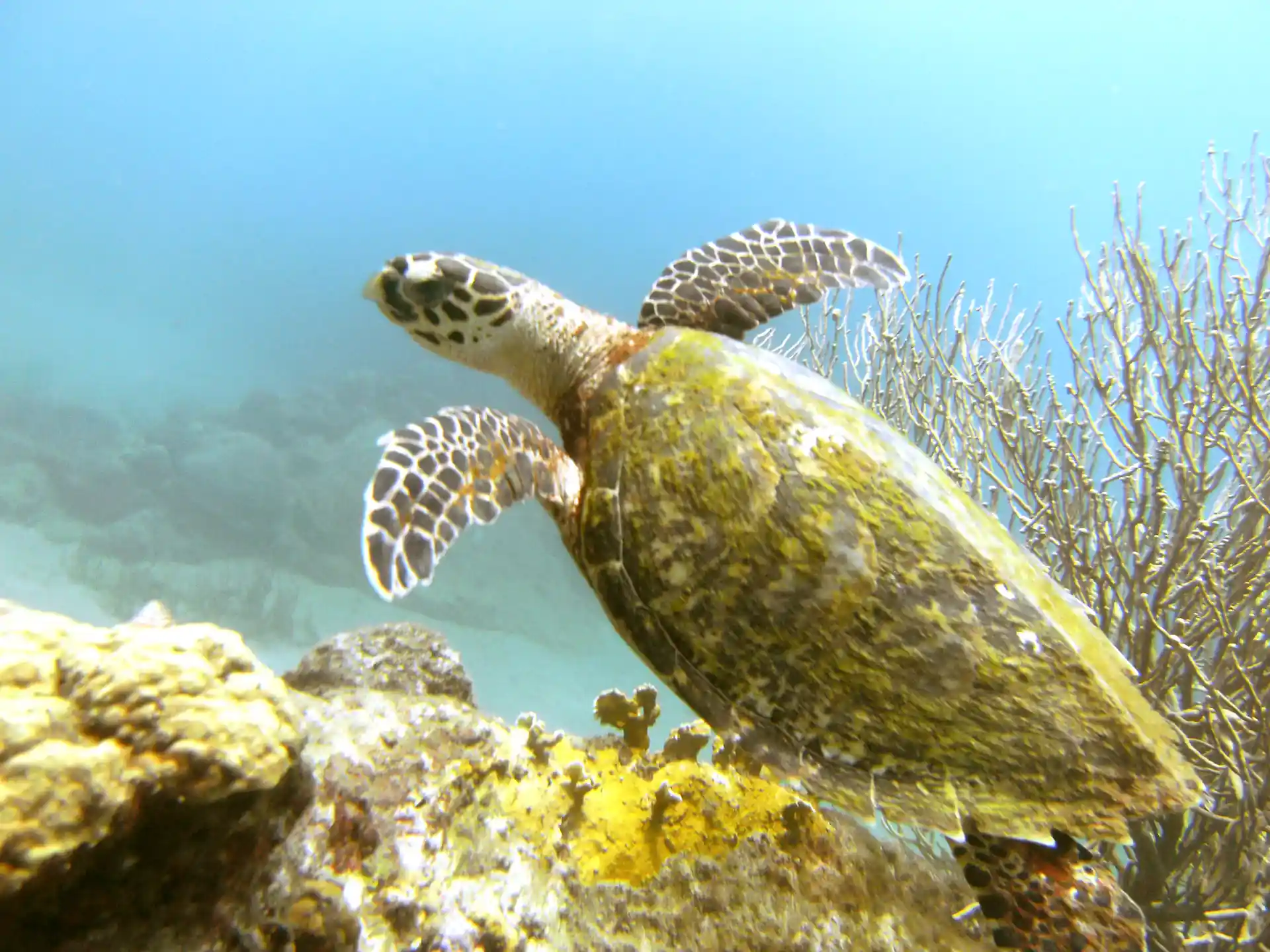 Foto de la actividad