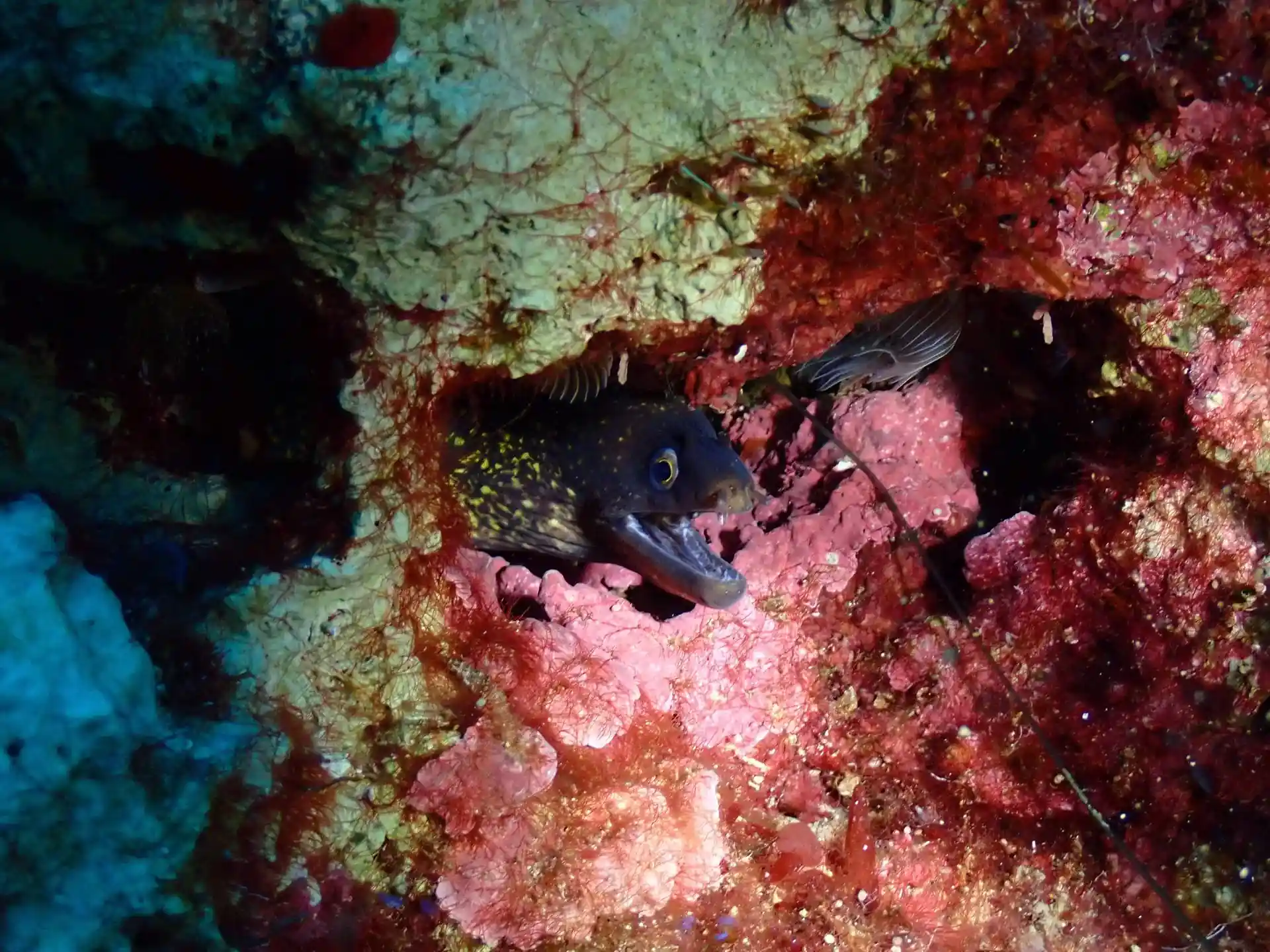 Dive site photo