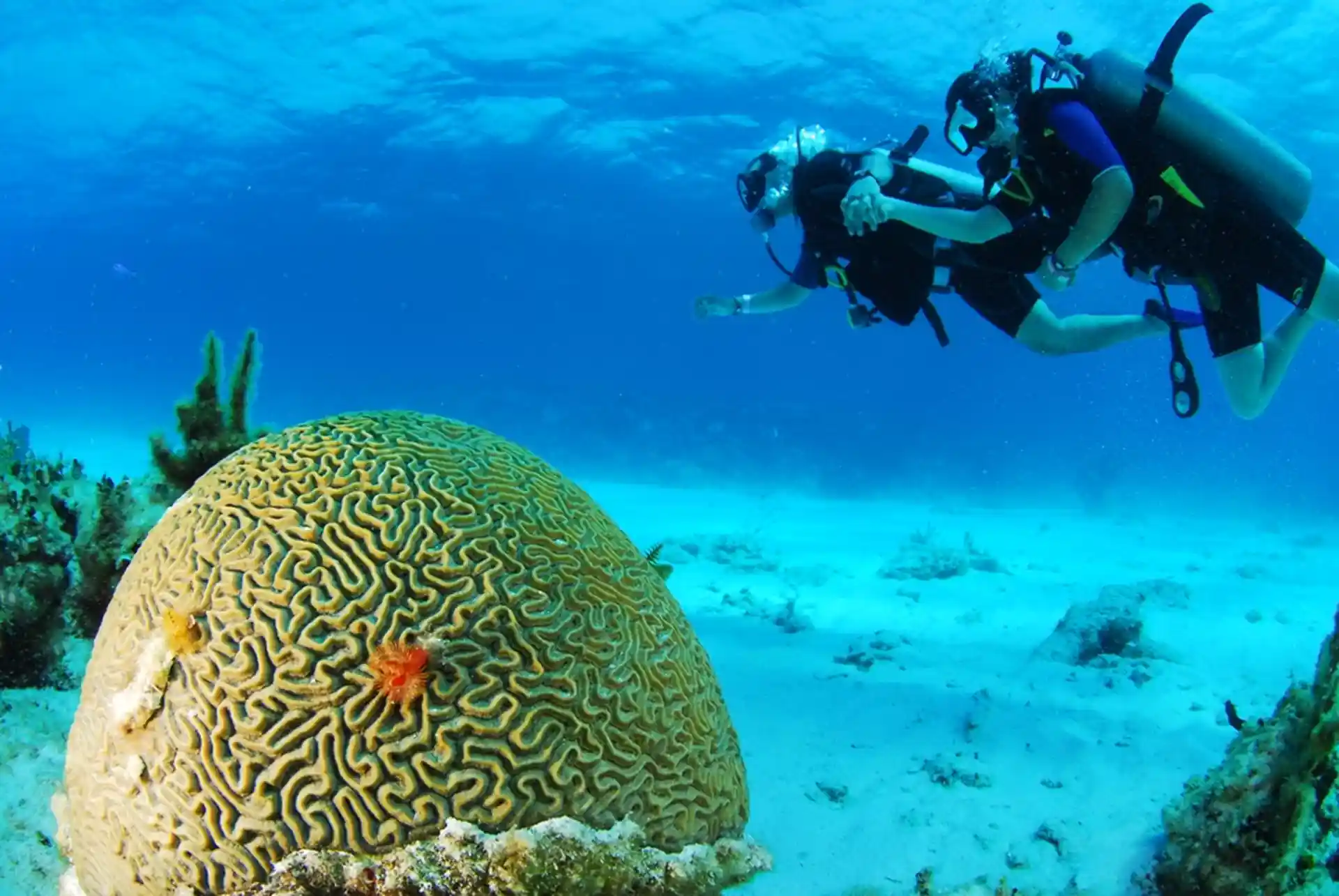 Photo de l'activité