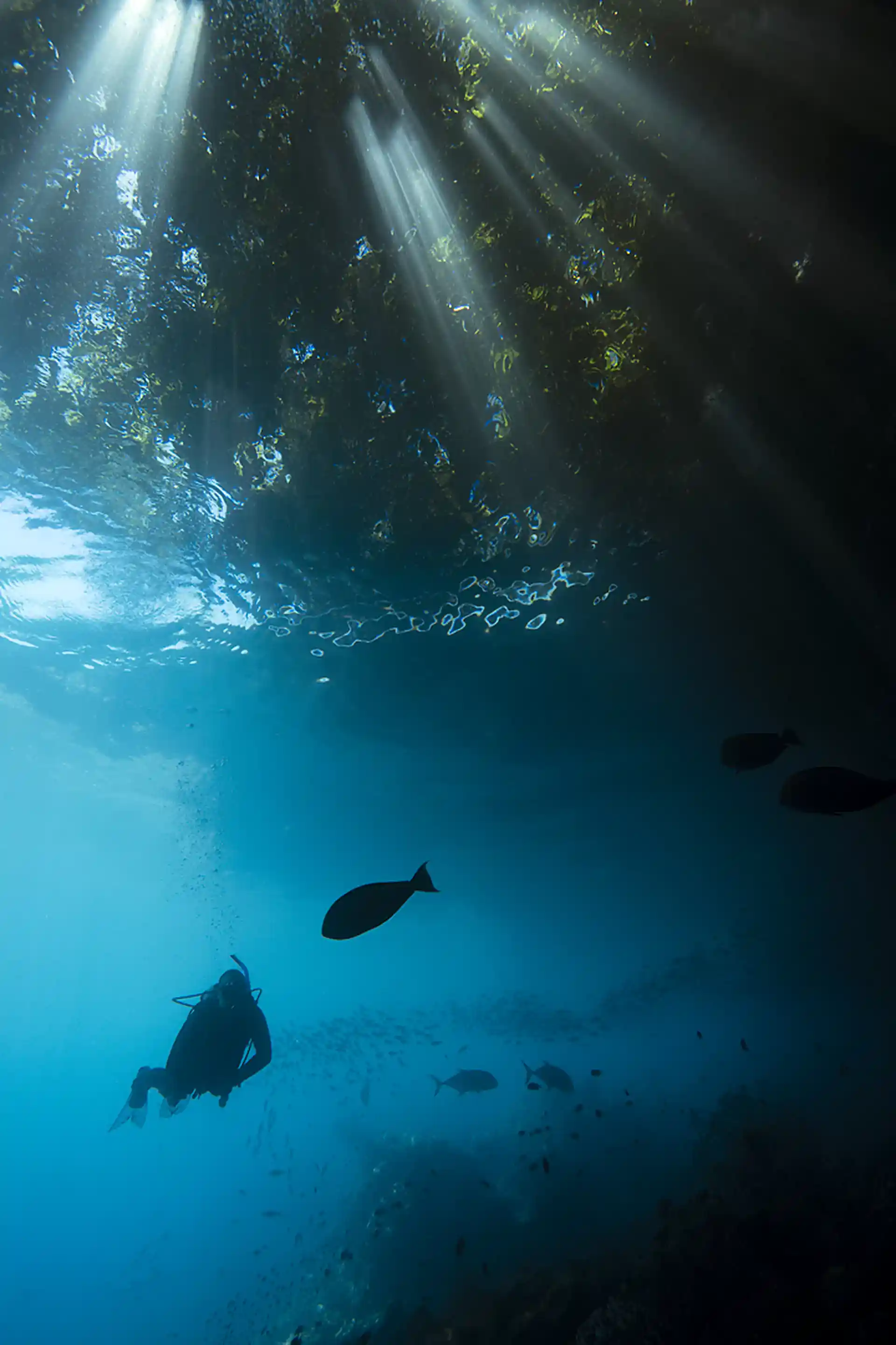 Photo du site de plongée