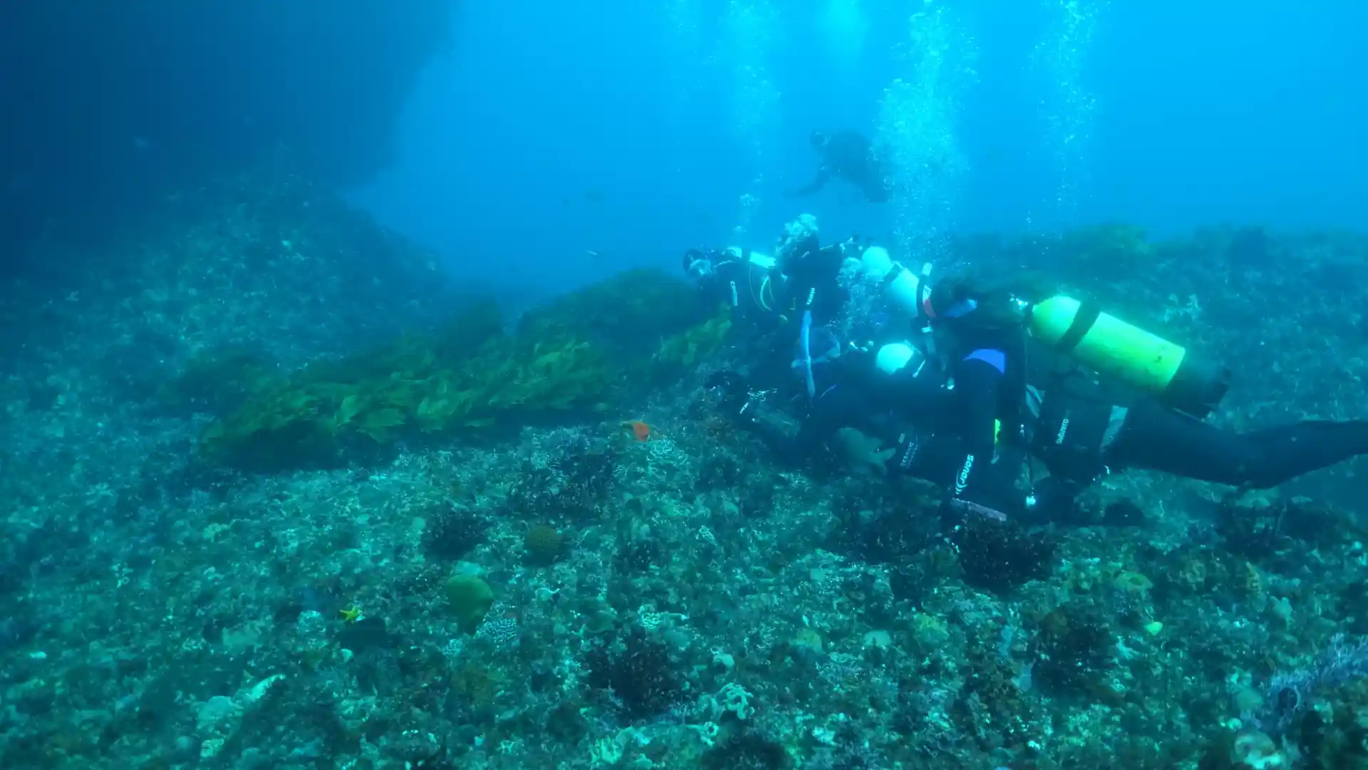 ダイビングサイトの写真