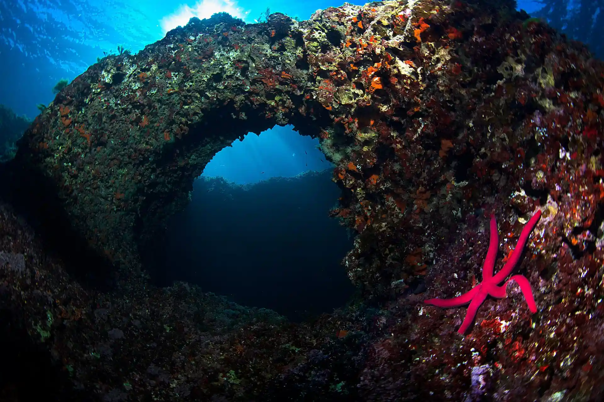 Photo du site de plongée