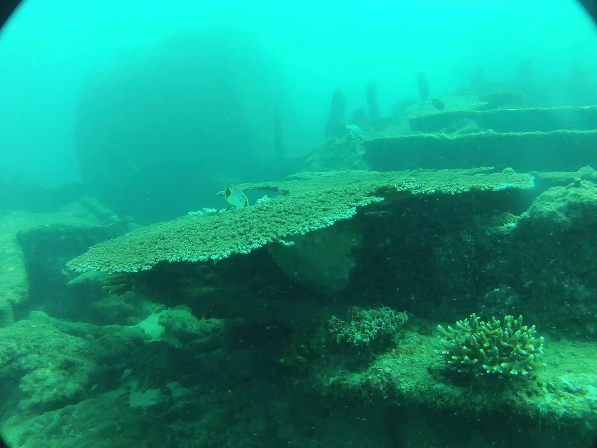 Dive site photo