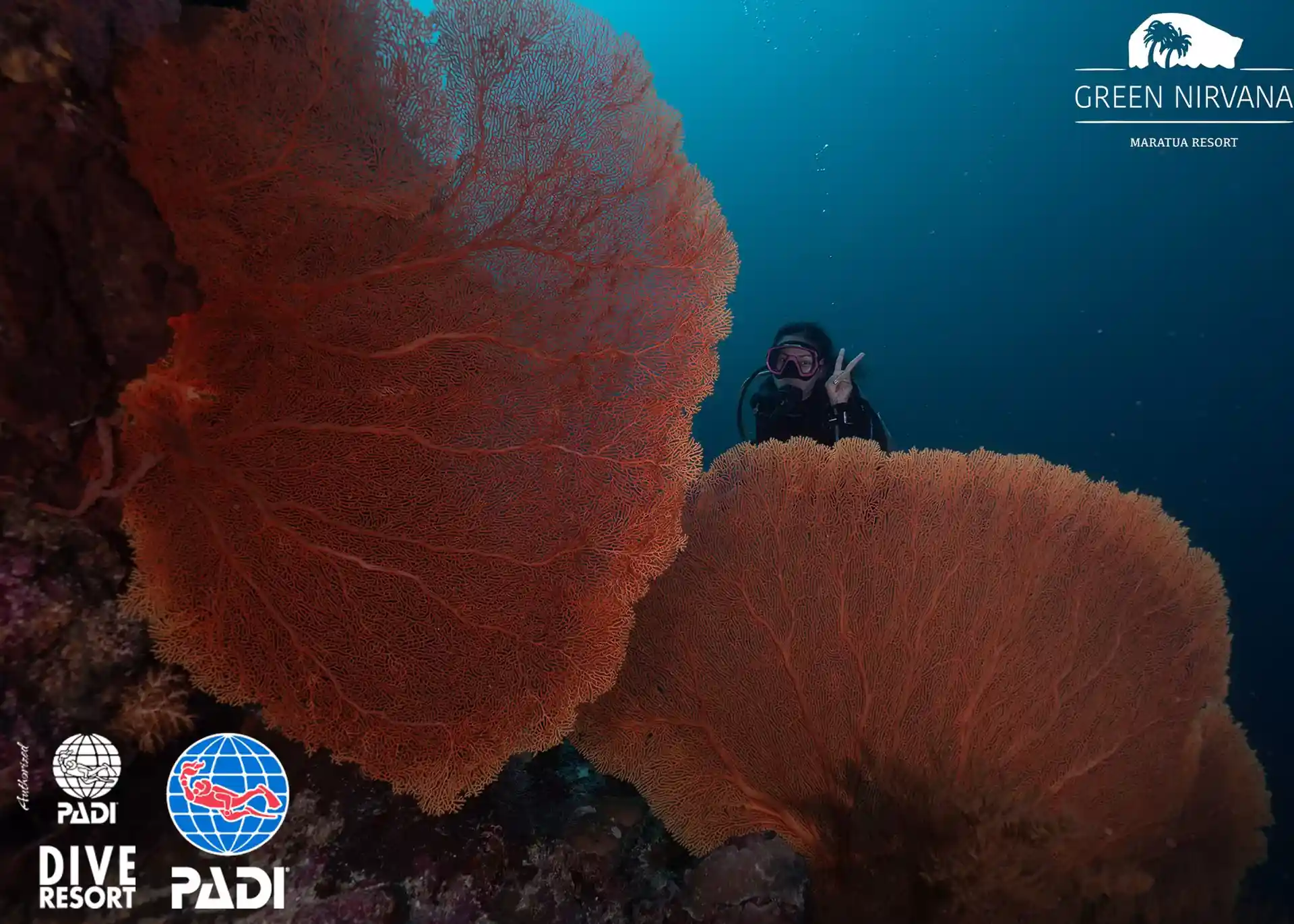 Dive site photo